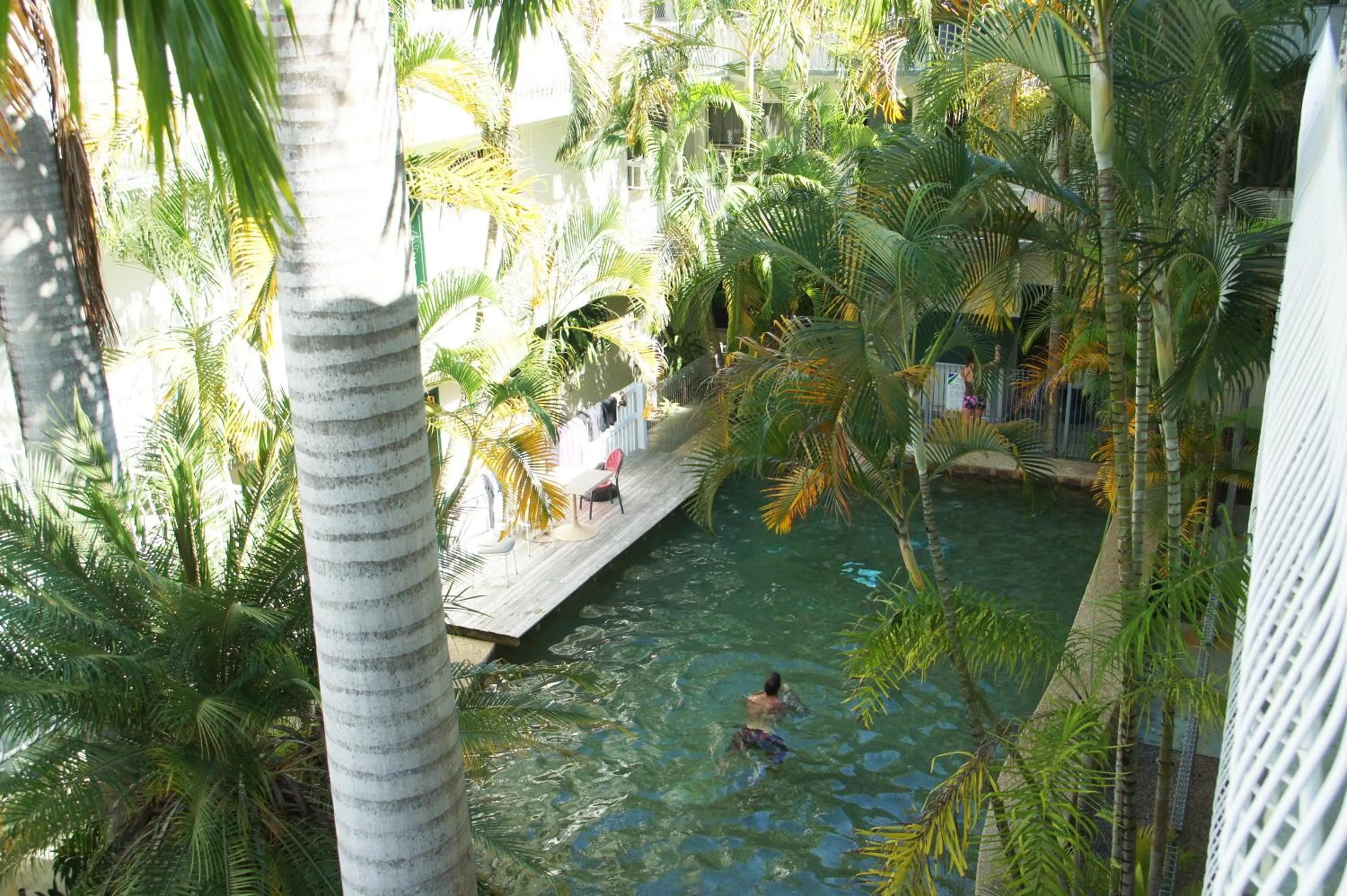 Swimming pool in Koala Beach Resort Cairns