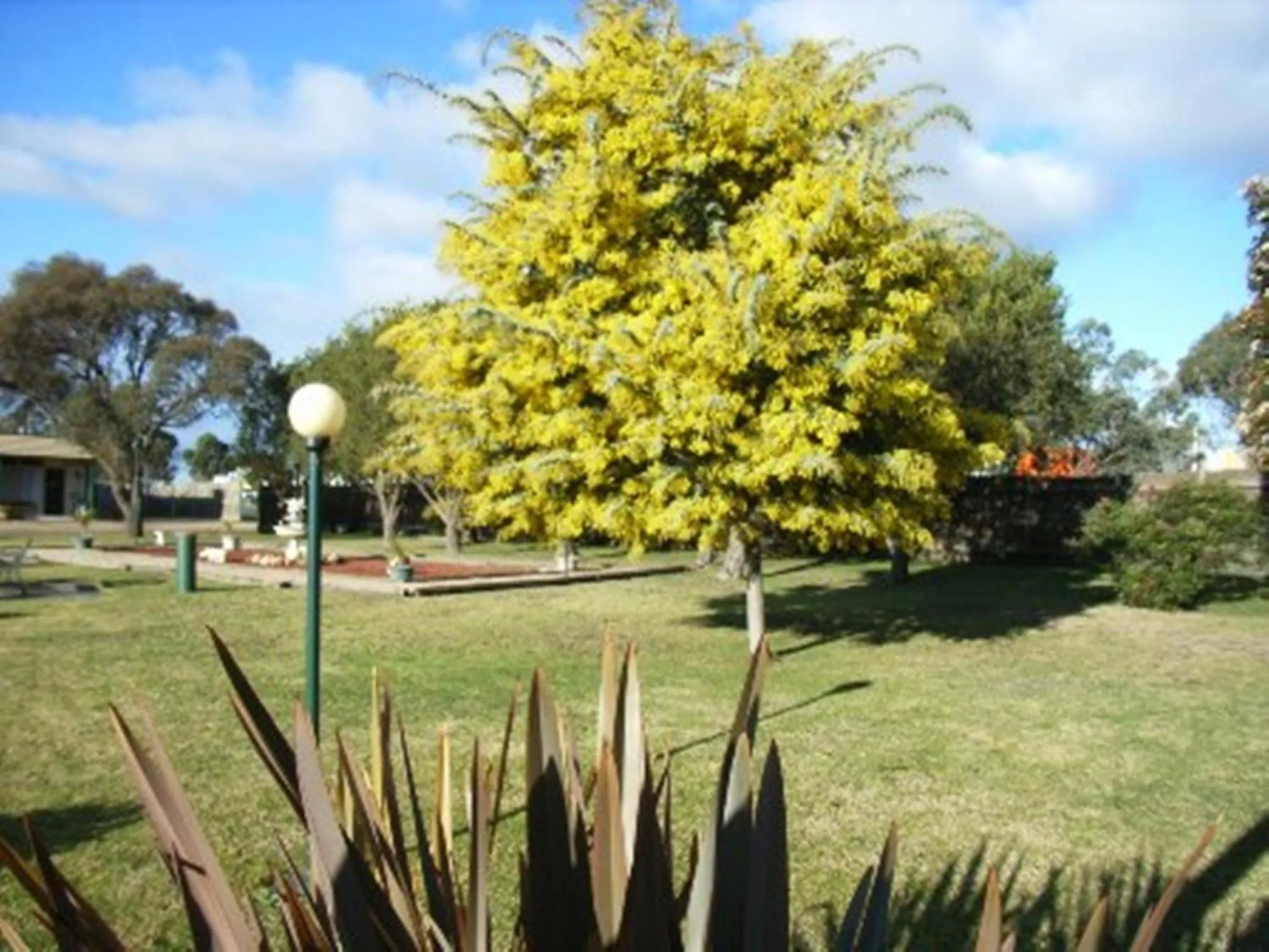 Garden in Bairnsdale Main Motel