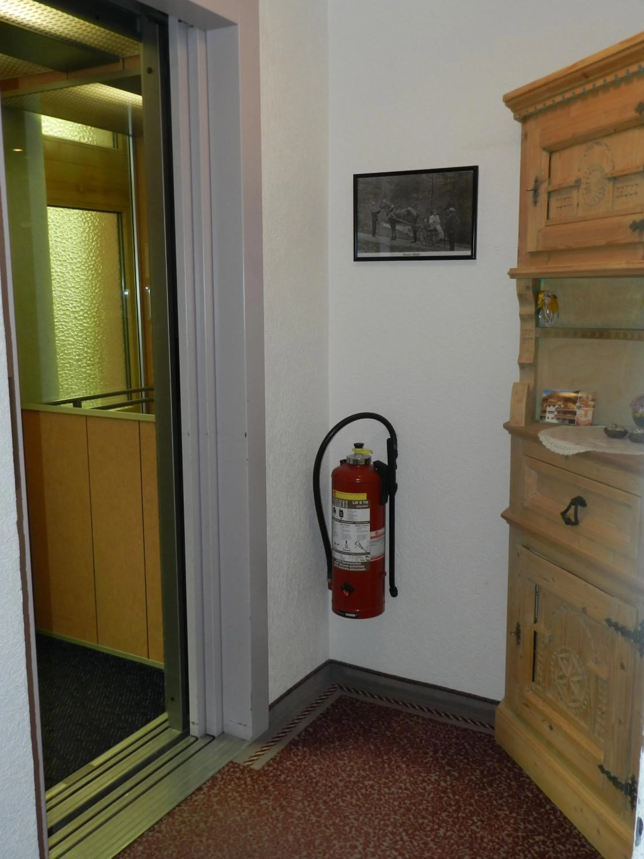 Decorative detail in Alpina