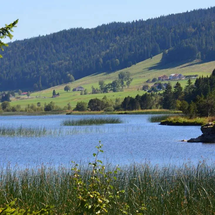 Natural landscape in Lodge Hotel Les Rousses