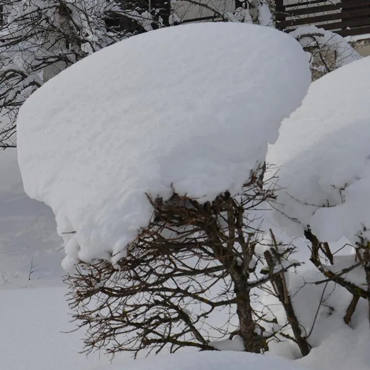 Lodge Hotel Les Rousses