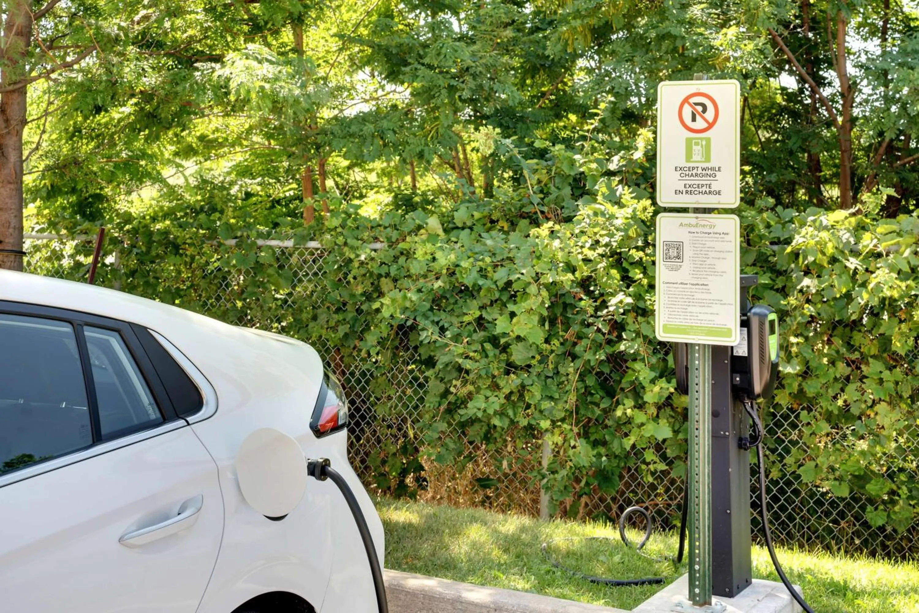 Homewood Suites by Hilton Toronto-Markham