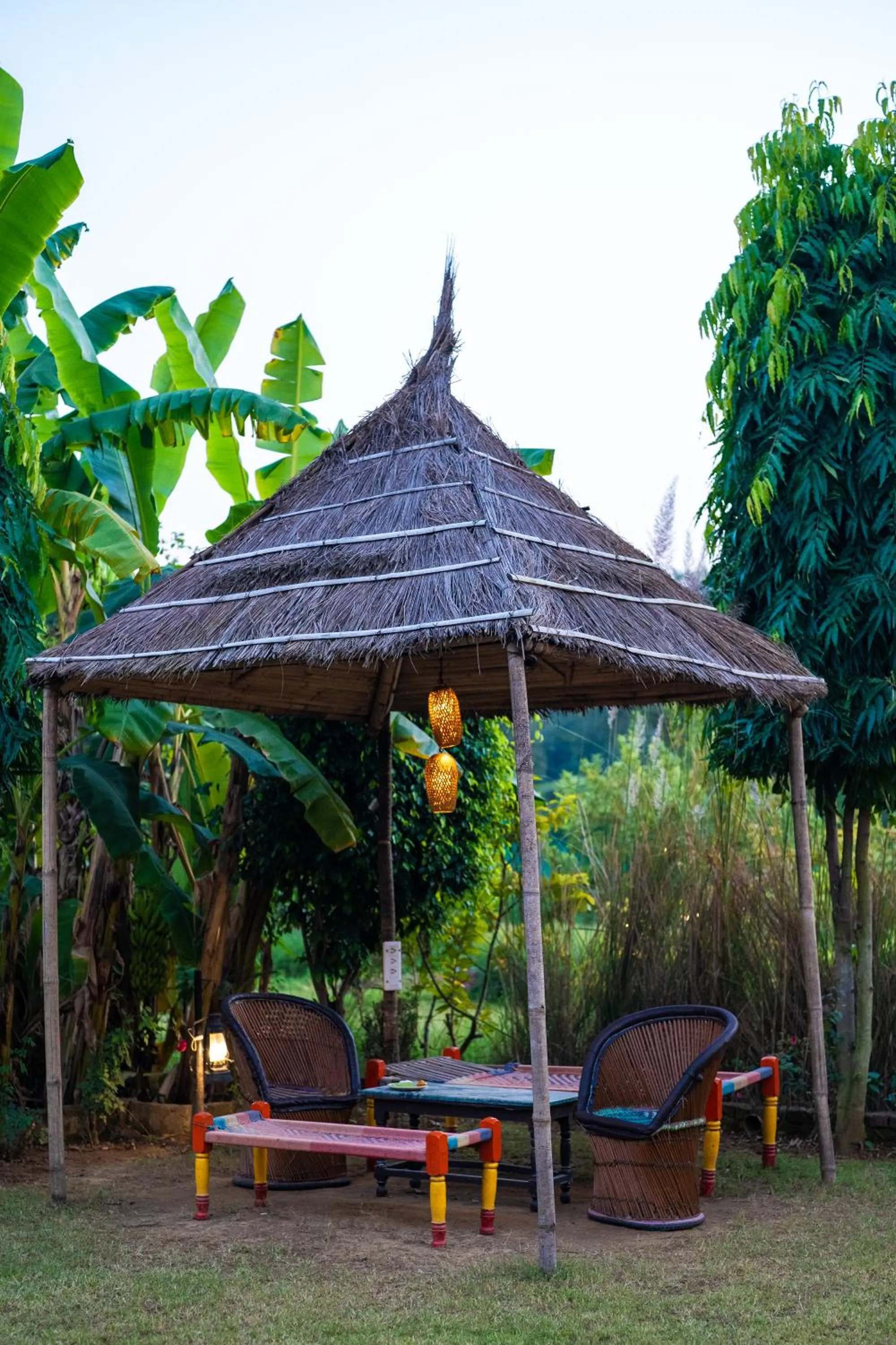 Garden in Paridhi Niwas, Ranthambore- near Tiger Safari Zones 1-5