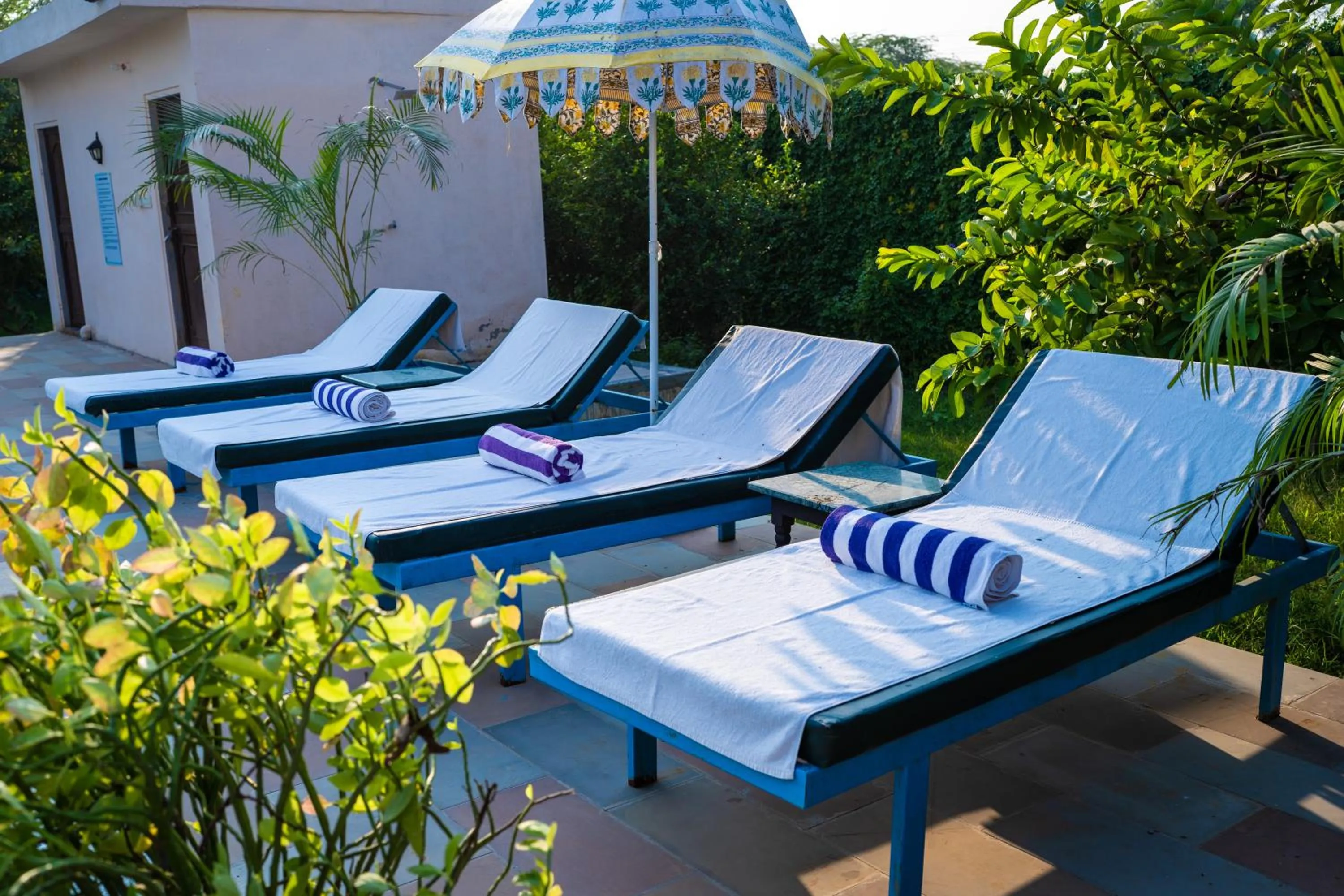 Swimming pool in Paridhi Niwas, Ranthambore- near Tiger Safari Zones 1-5