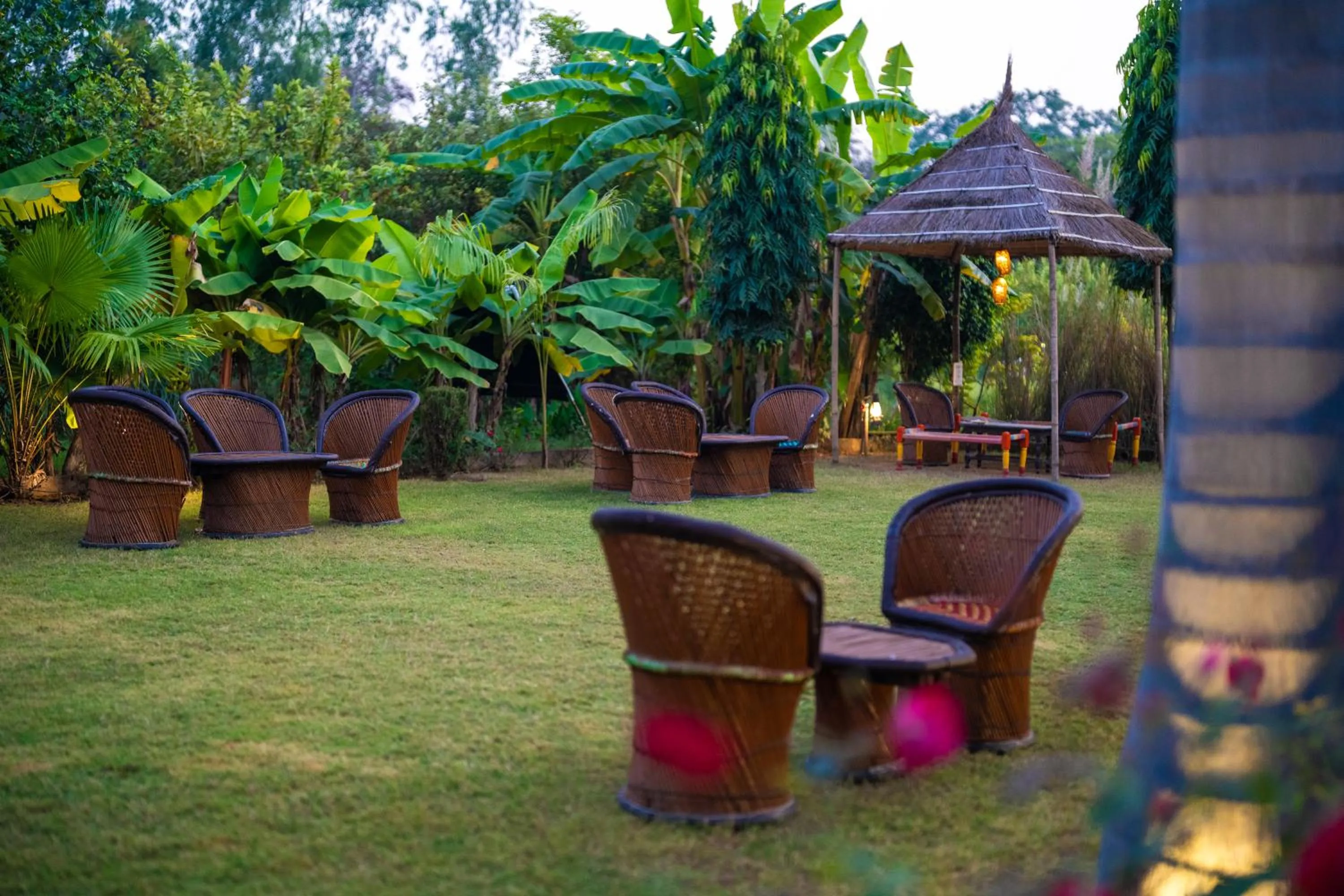 Garden in Paridhi Niwas, Ranthambore- near Tiger Safari Zones 1-5