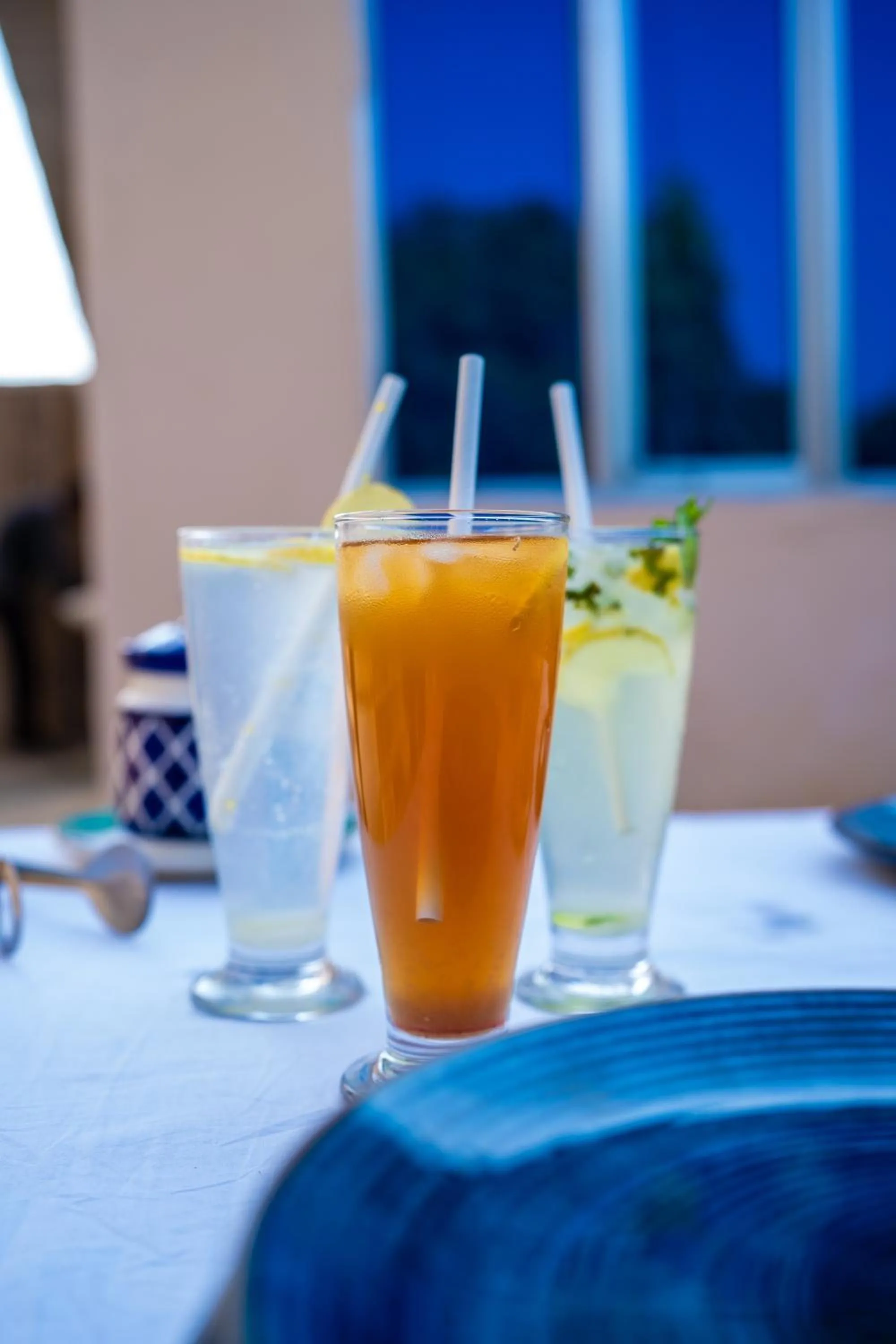 Food and drinks in Paridhi Niwas, Ranthambore- near Tiger Safari Zones 1-5