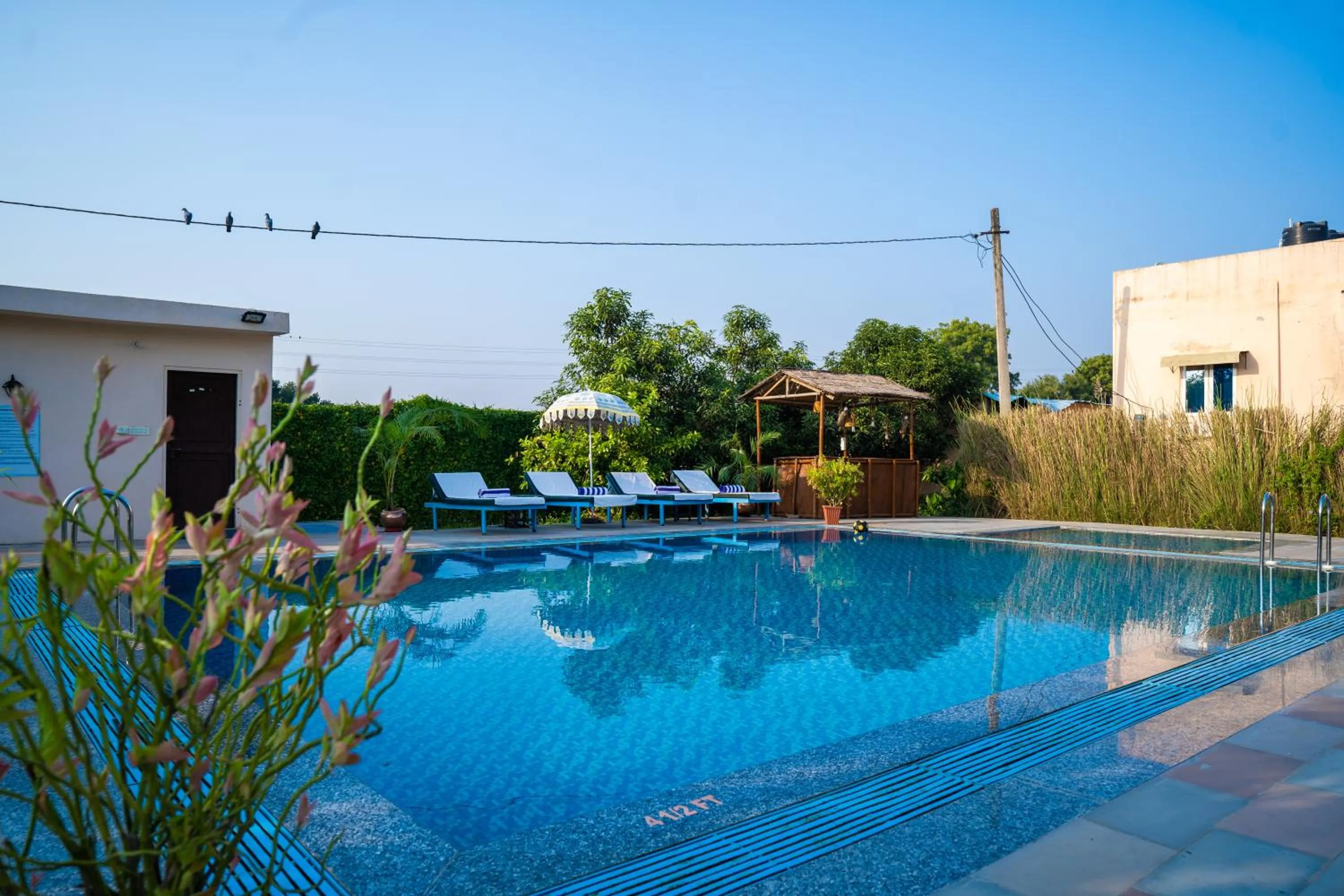 Swimming pool in Paridhi Niwas, Ranthambore- near Tiger Safari Zones 1-5