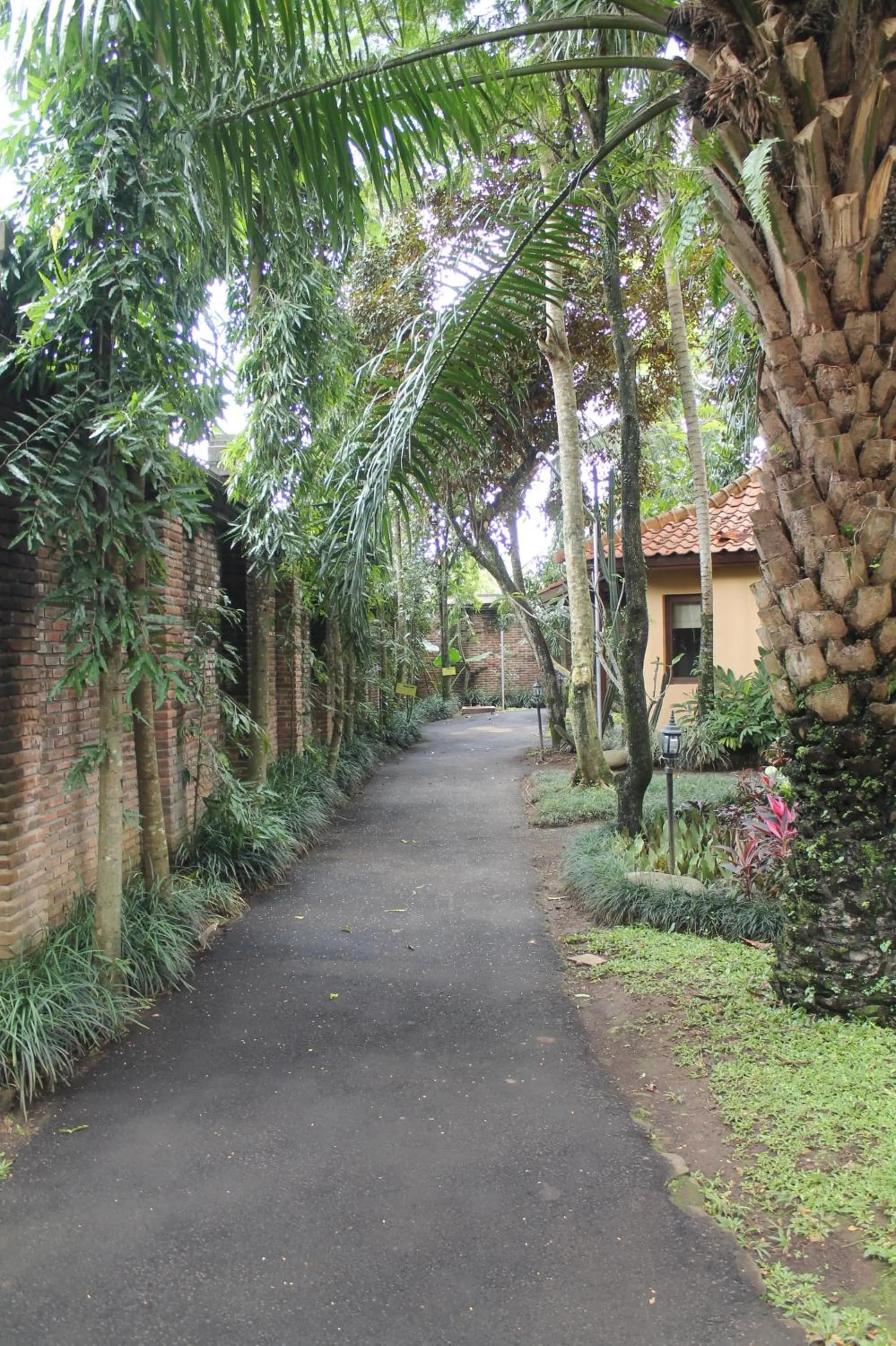 Area and facilities in Laras Asri Resort & Spa