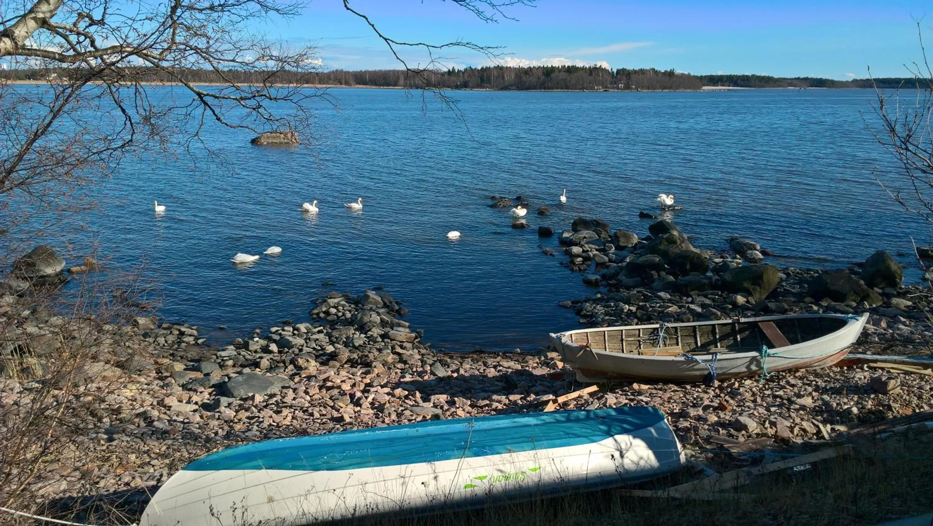 Natural landscape in Mäntyluodon Hotelli