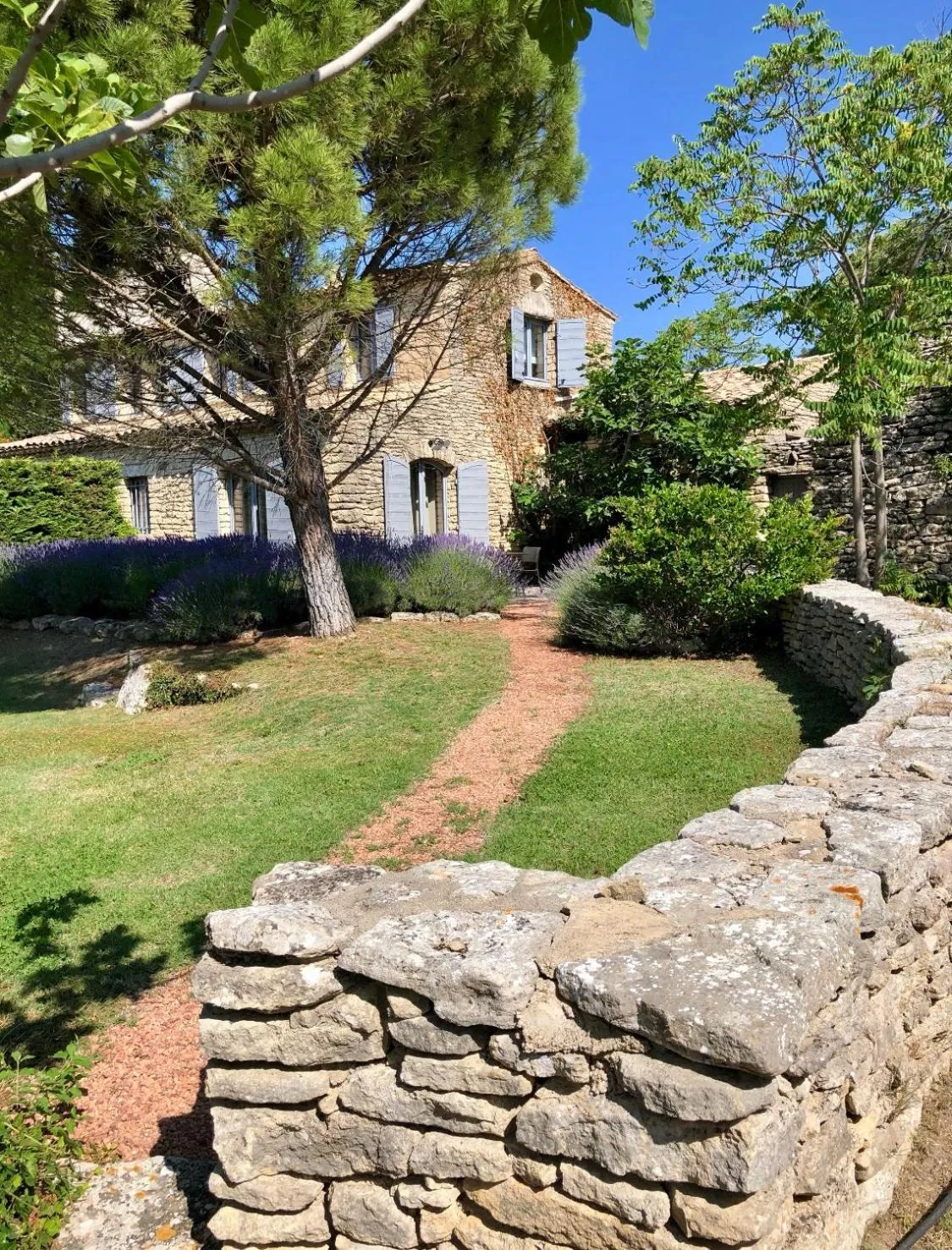 Garden in Domaine de l'Enclos