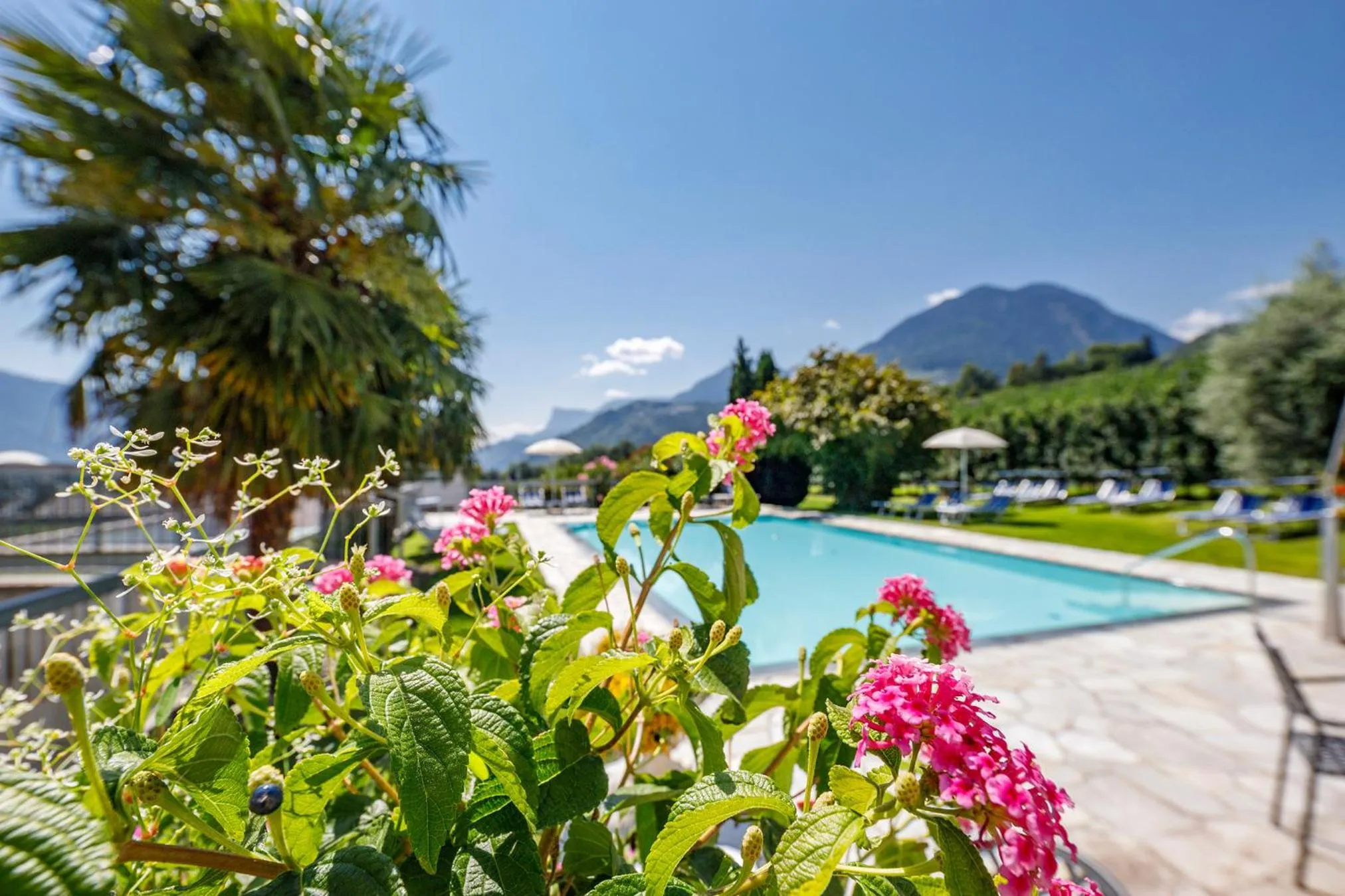 Pool view in Hotel Törggelehof