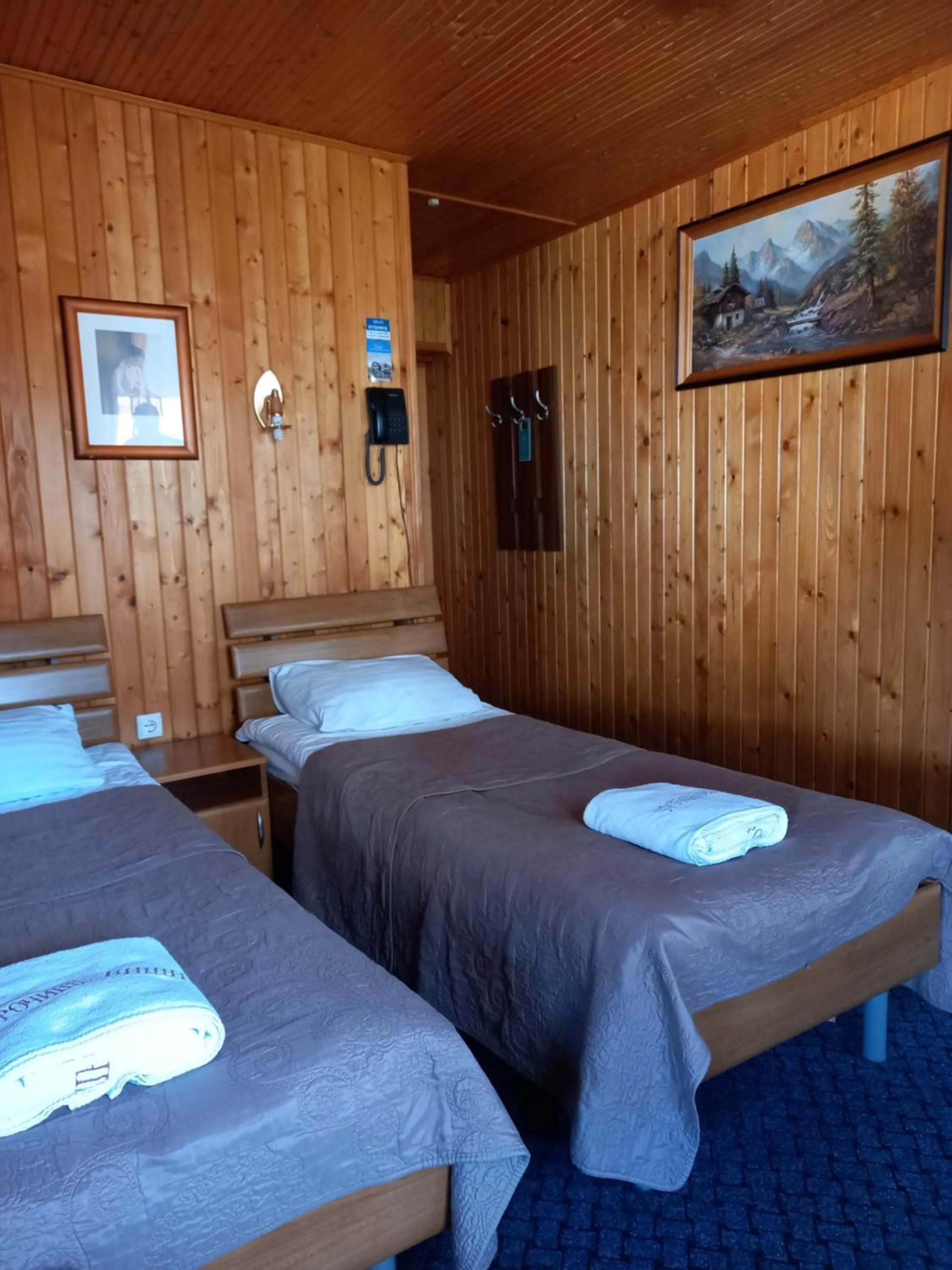 Bed in Urochyshe Vyshnya