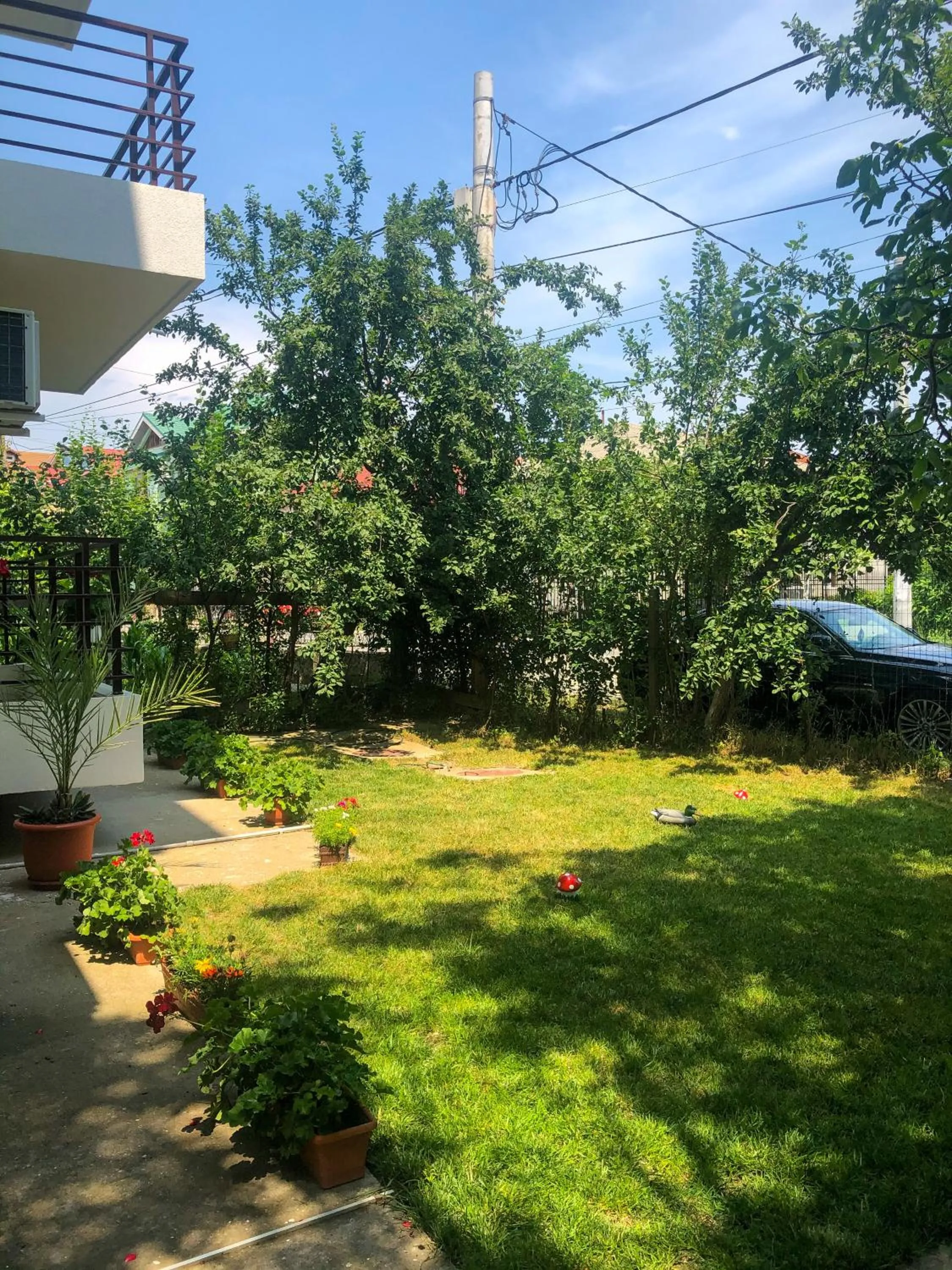 Garden in Villa Anastasia