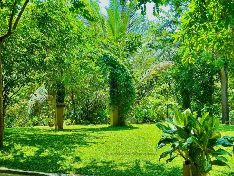 Garden in Ele Camp Udawalawe
