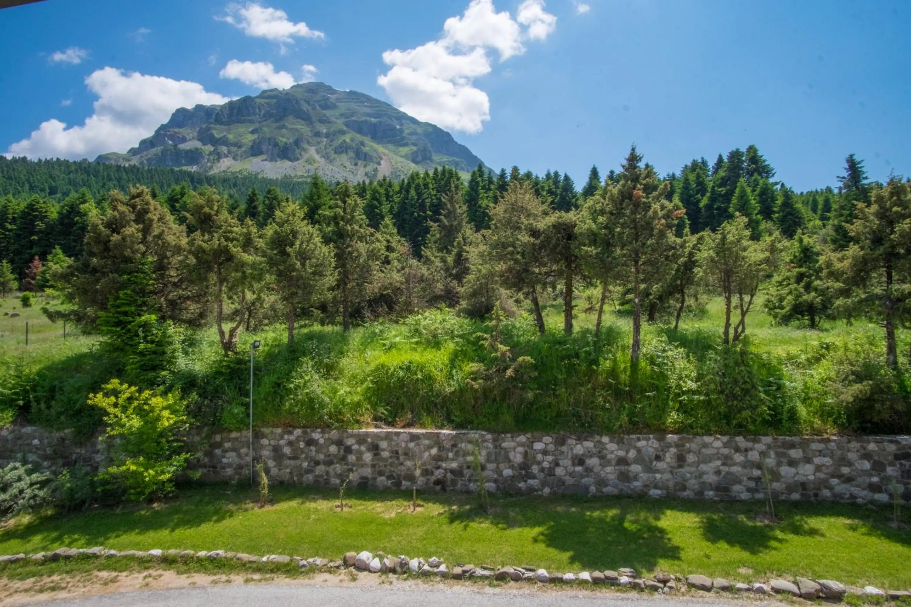 View (from property/room) in Orizontes Tzoumerkon Hotel Resort