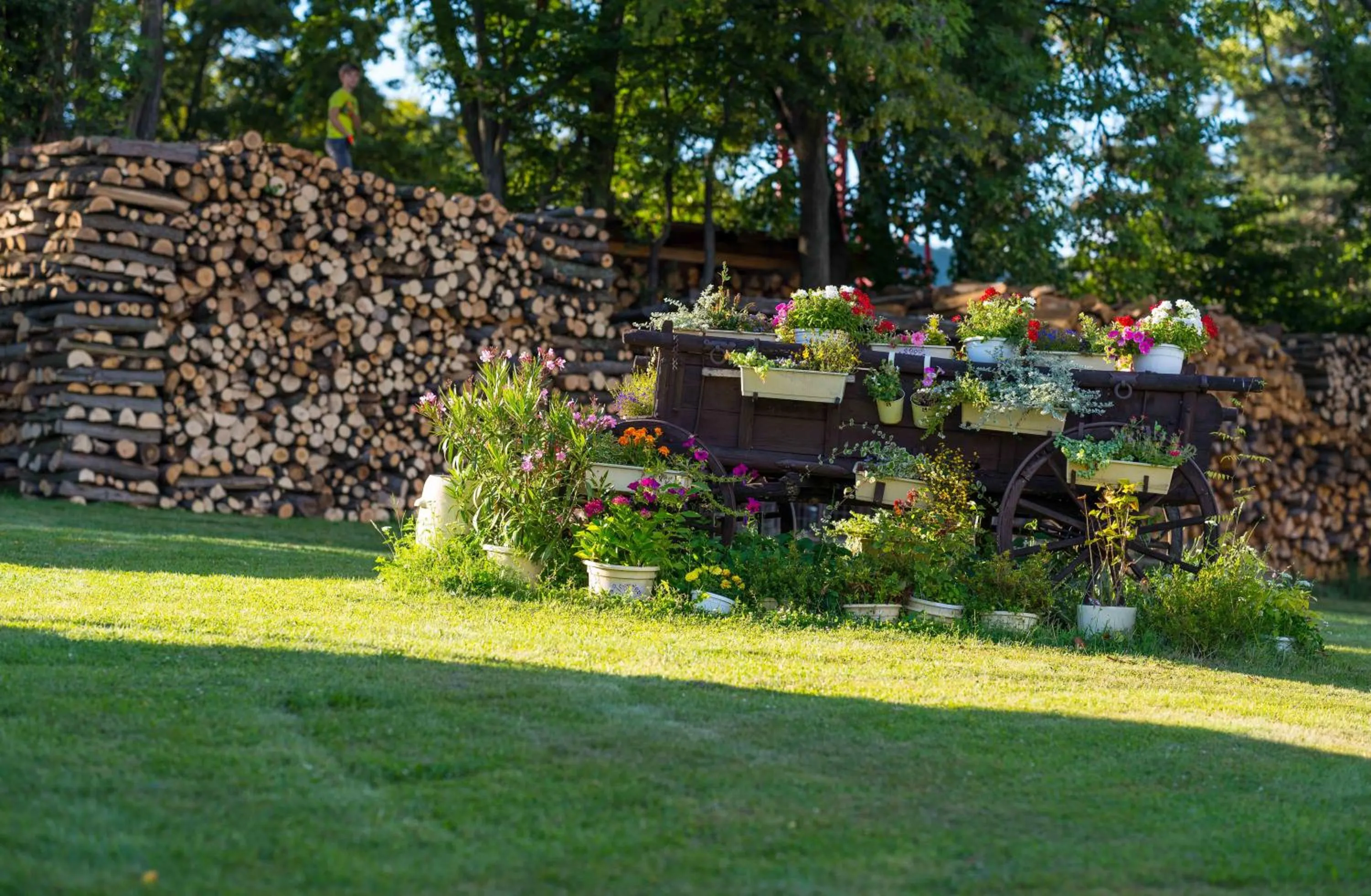 Area and facilities in Penzion na Kopci