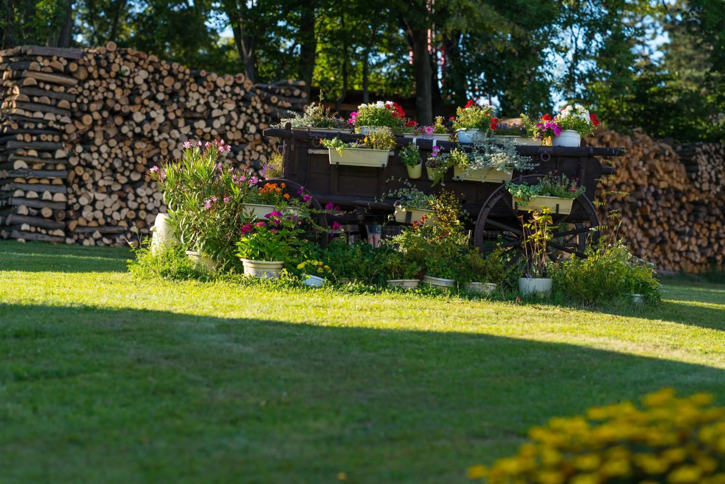 Activities in Penzion na Kopci