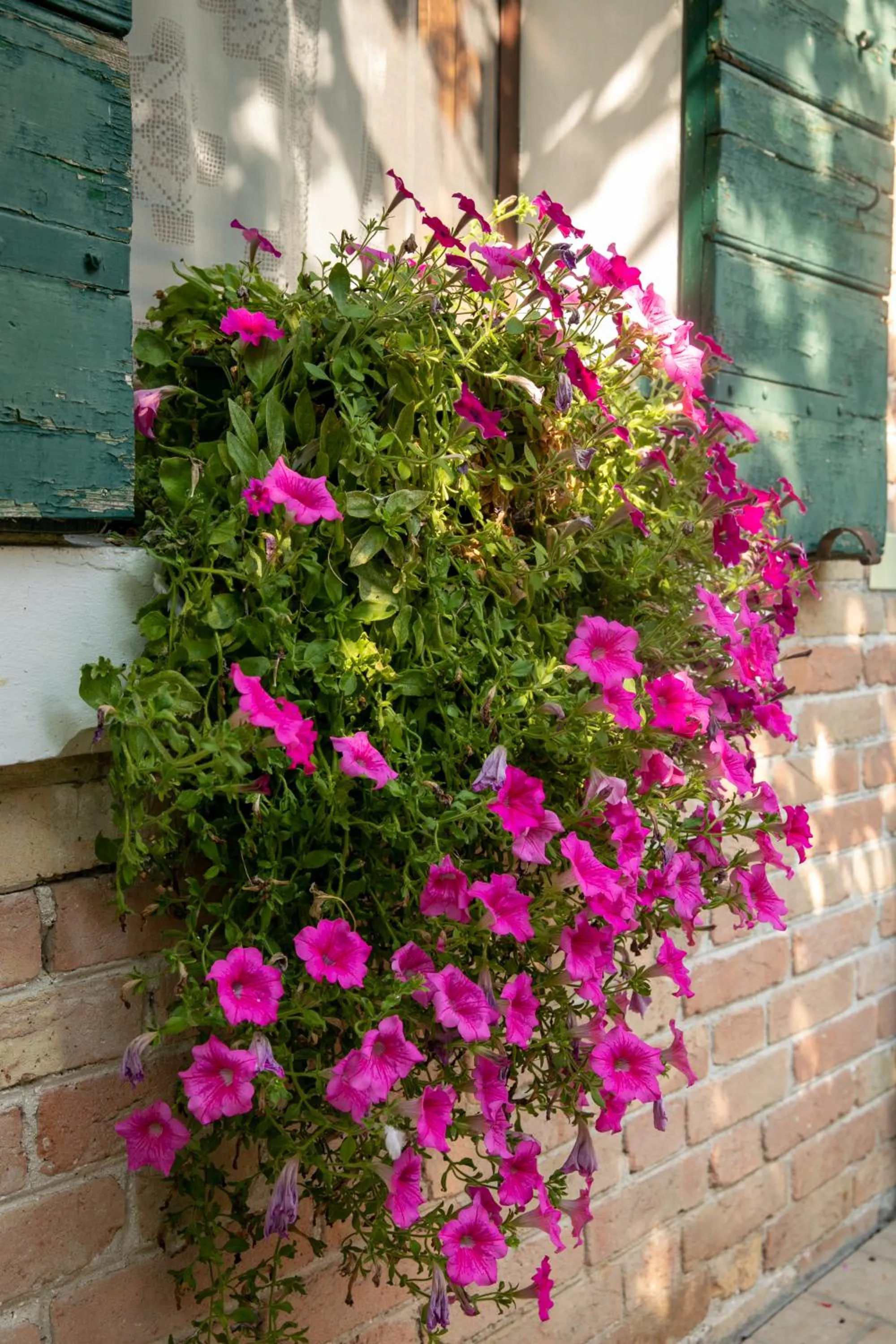 Locanda Antico Fighèr