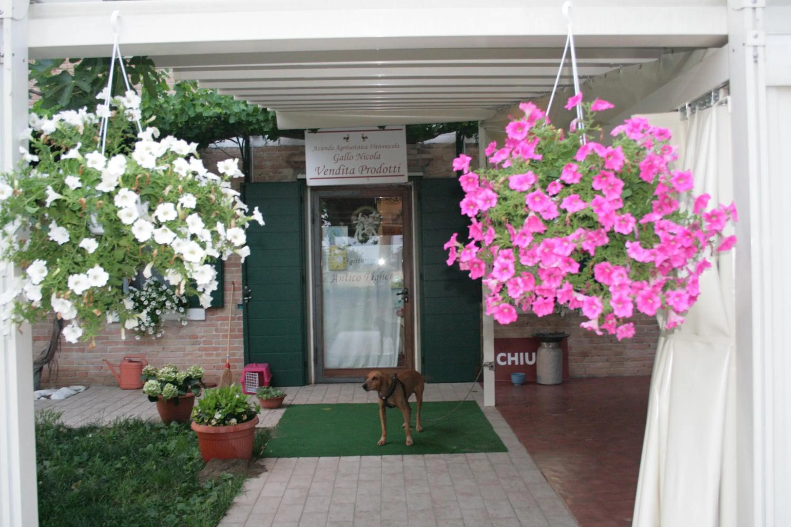 Facade/entrance in Locanda Antico Fighèr