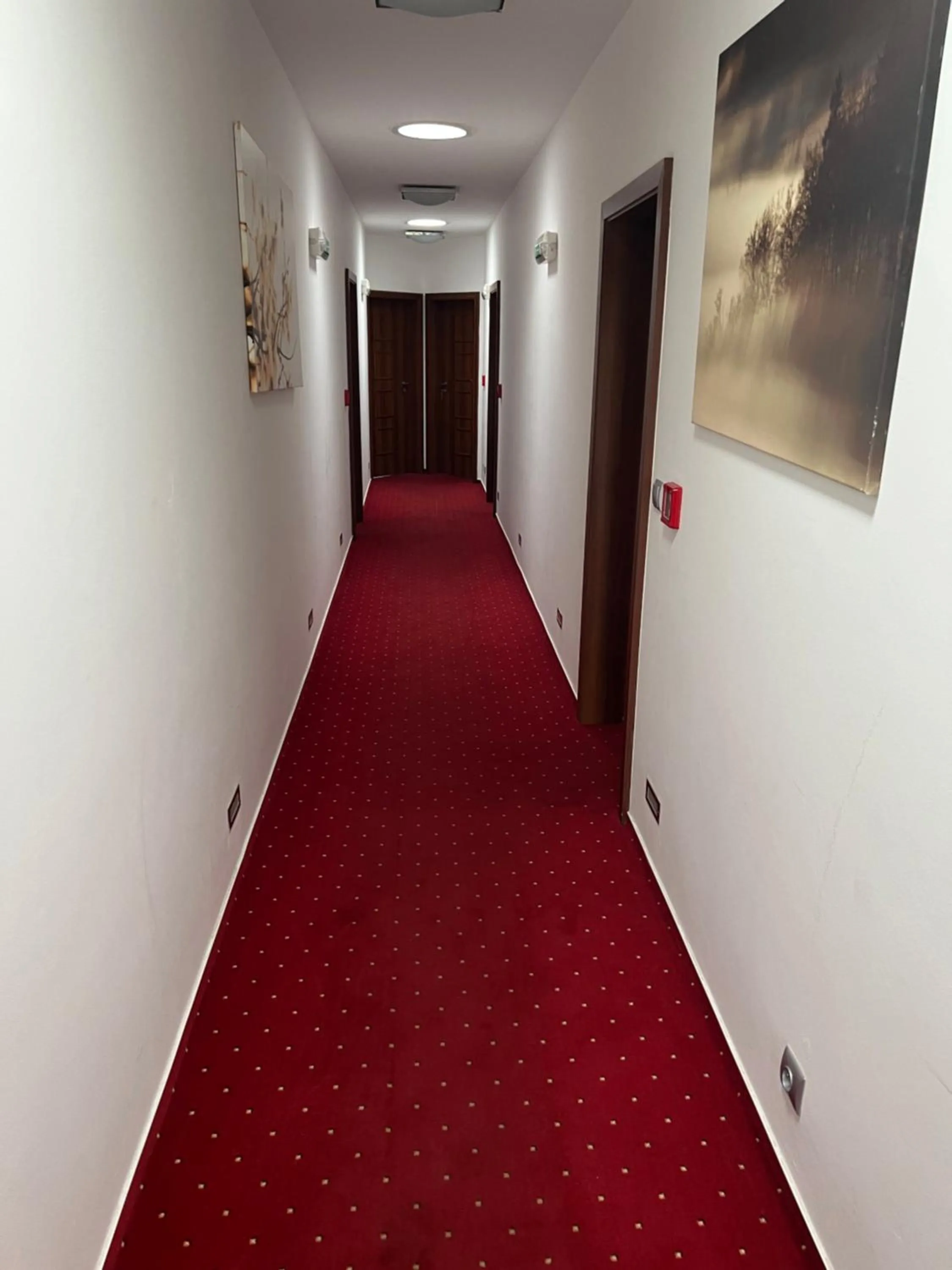 Hotel Krušnohorský Dvůr