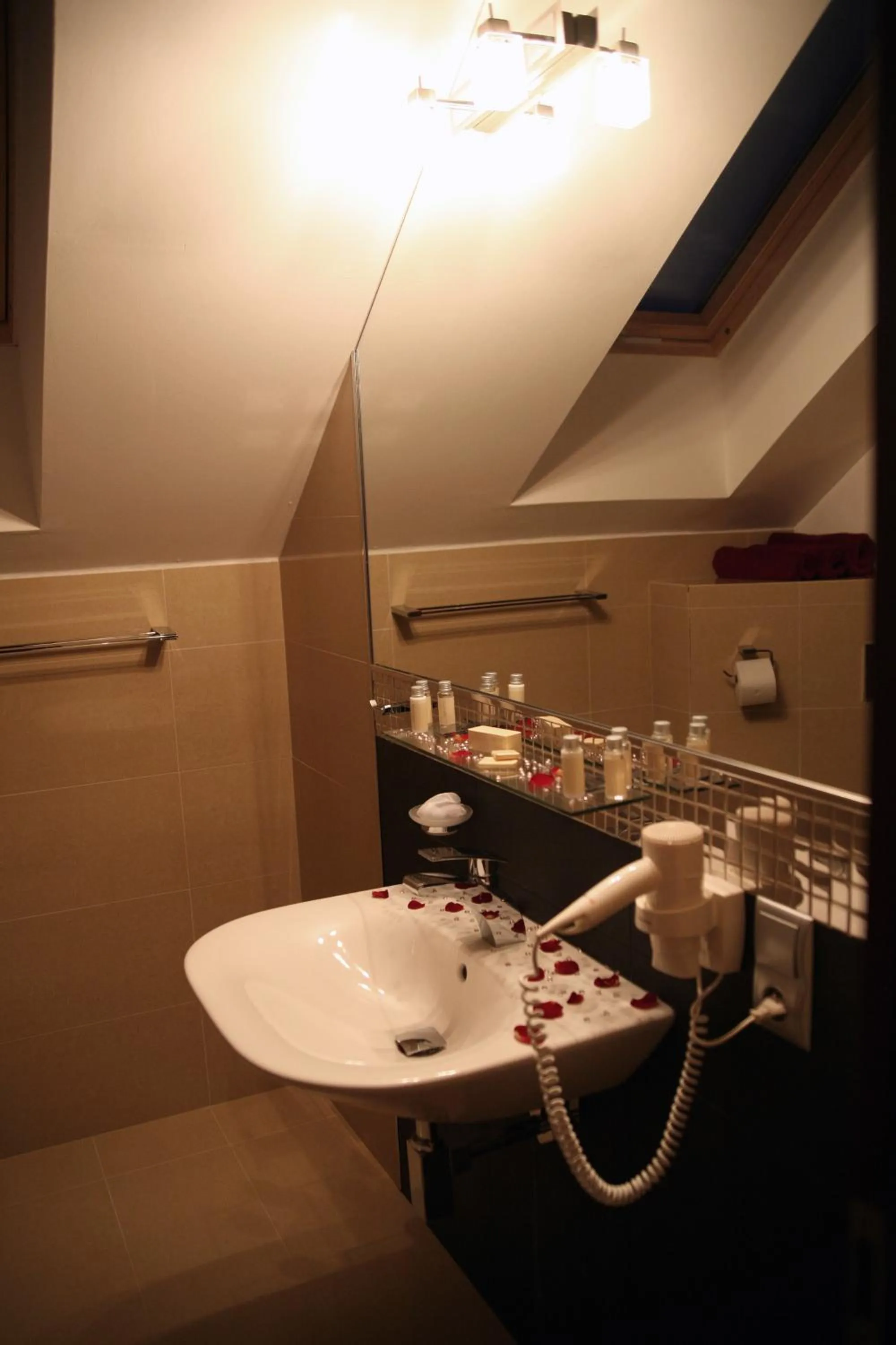 Bathroom in Hotel Krušnohorský Dvůr