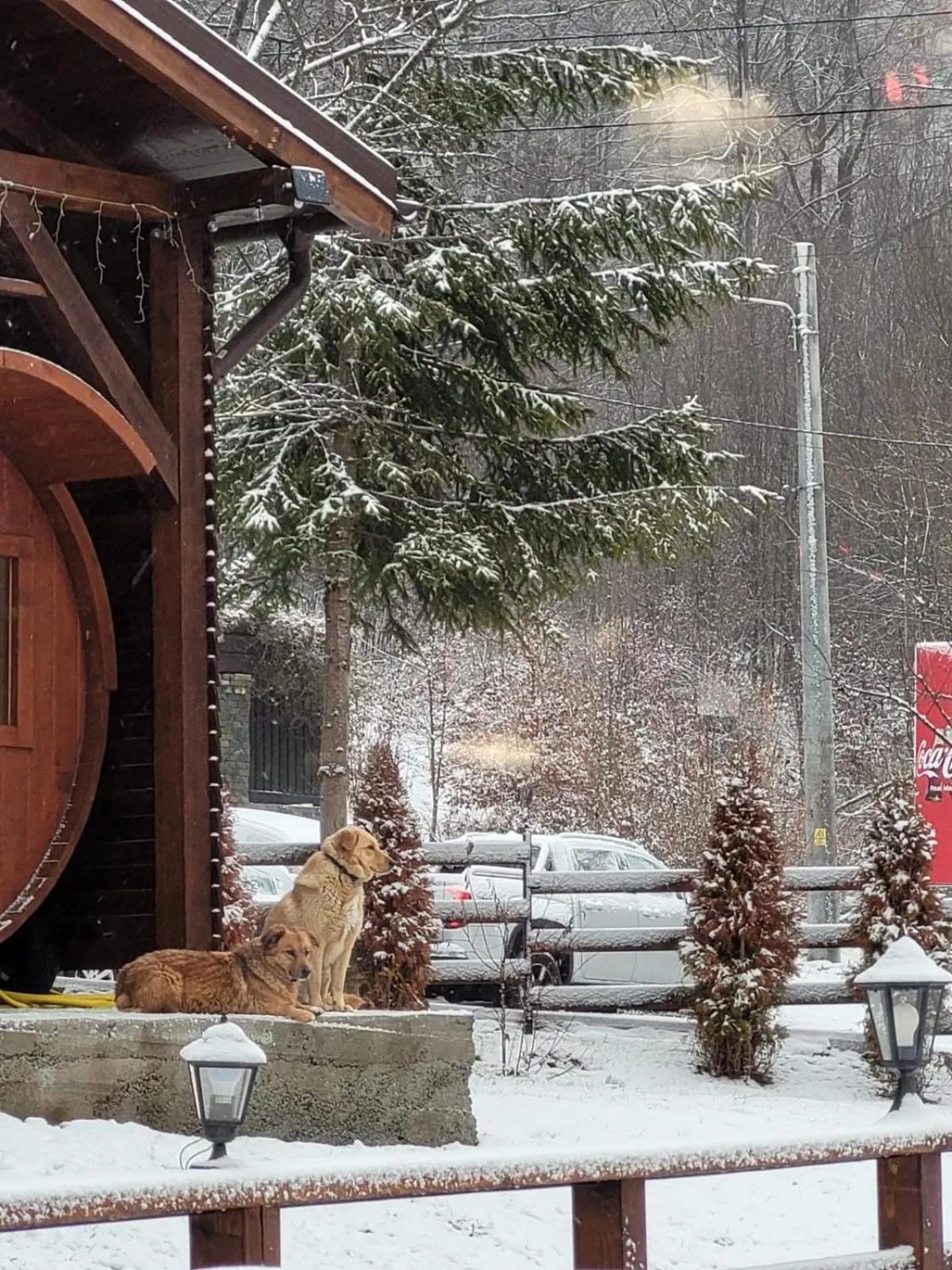 Property building in Pensiunea ELEMAR