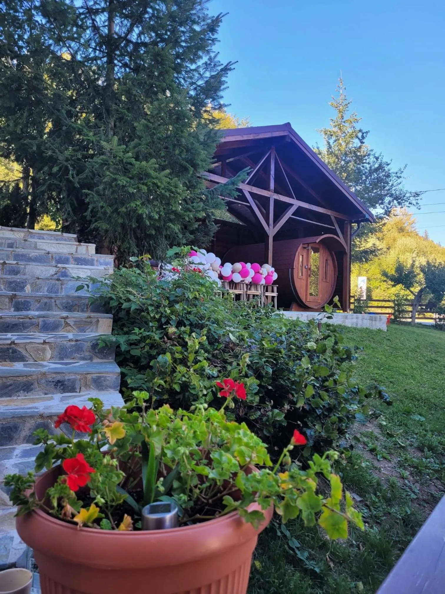 Garden in Pensiunea ELEMAR