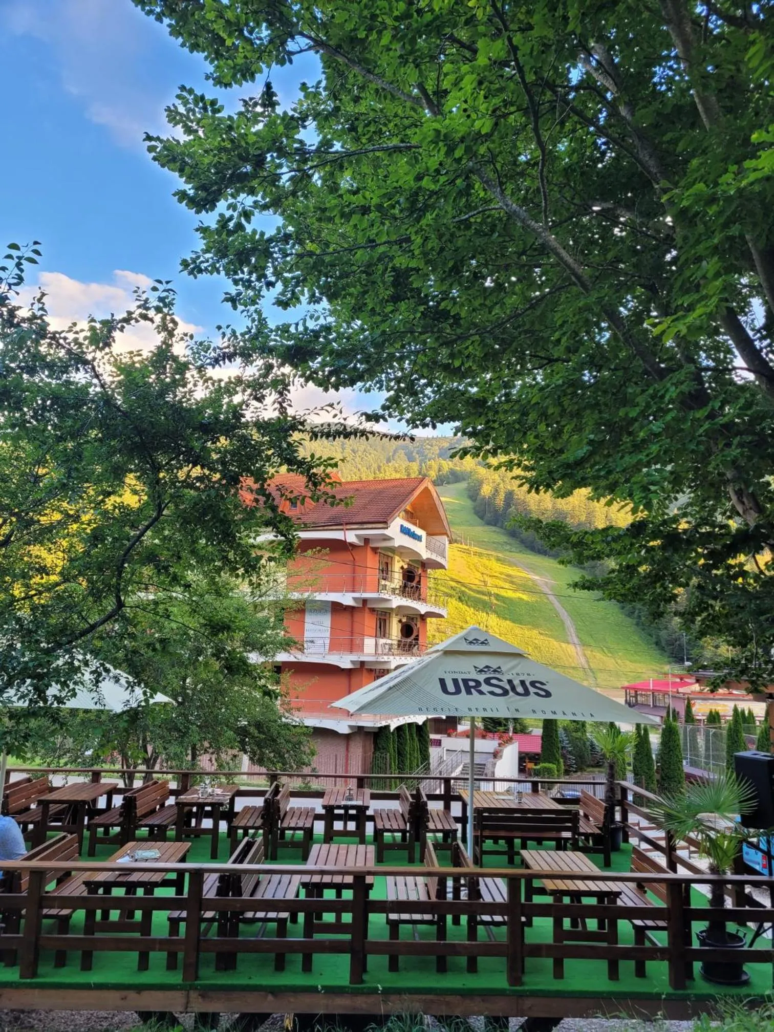Balcony/Terrace in Pensiunea ELEMAR