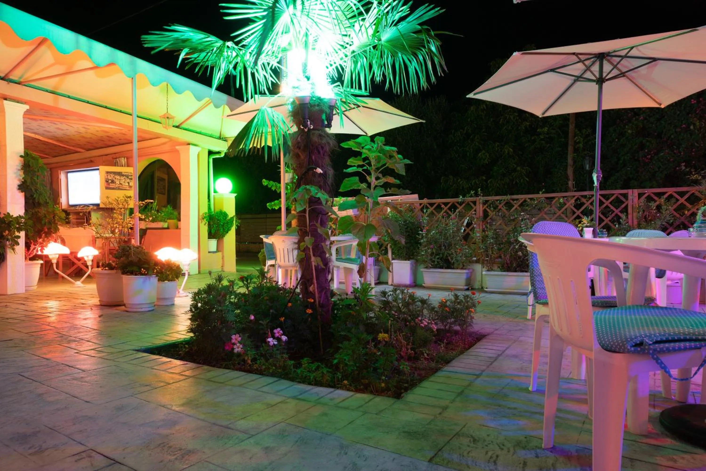 Garden in Billy's Rooms