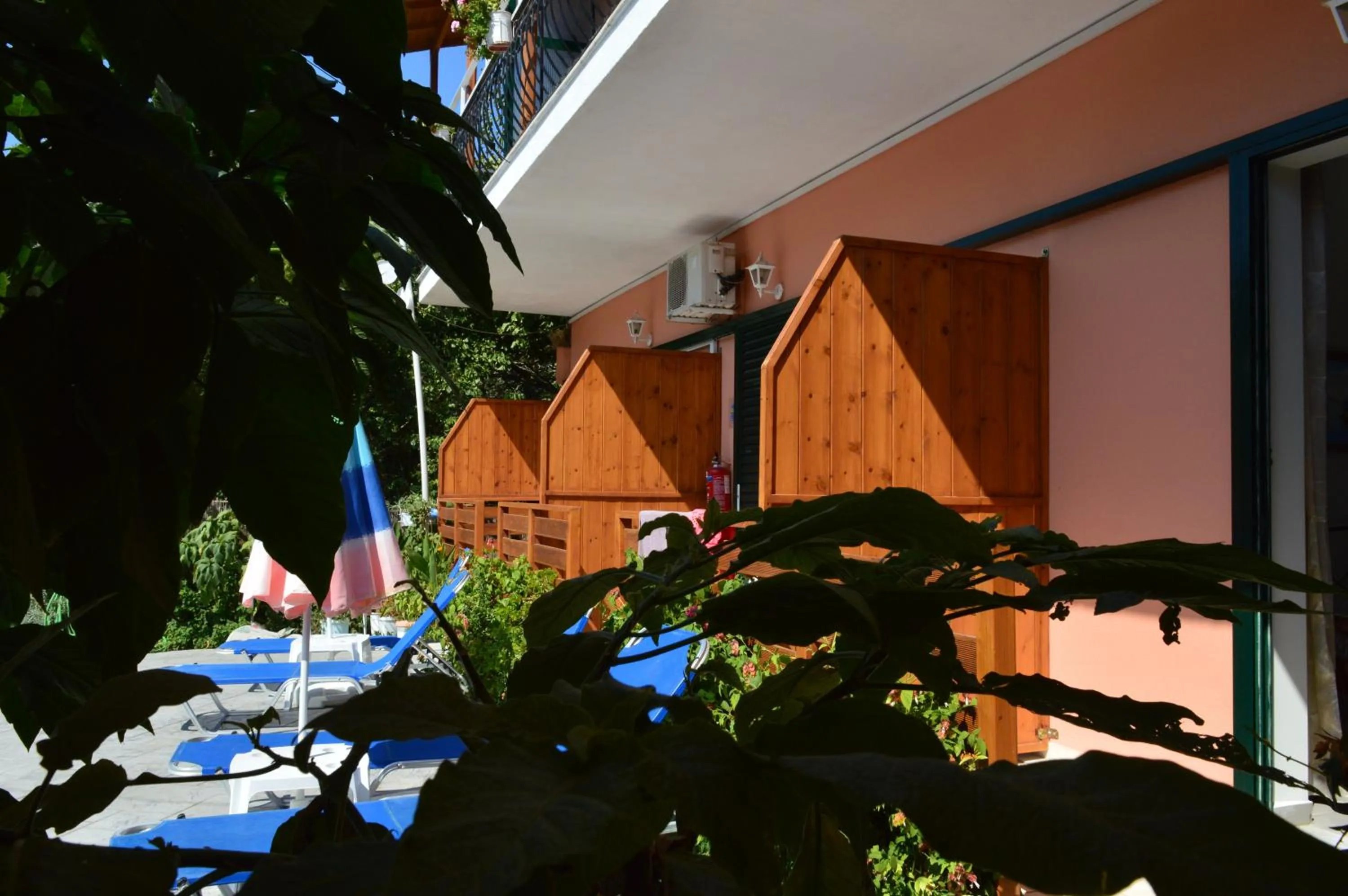 Garden in Billy's Rooms