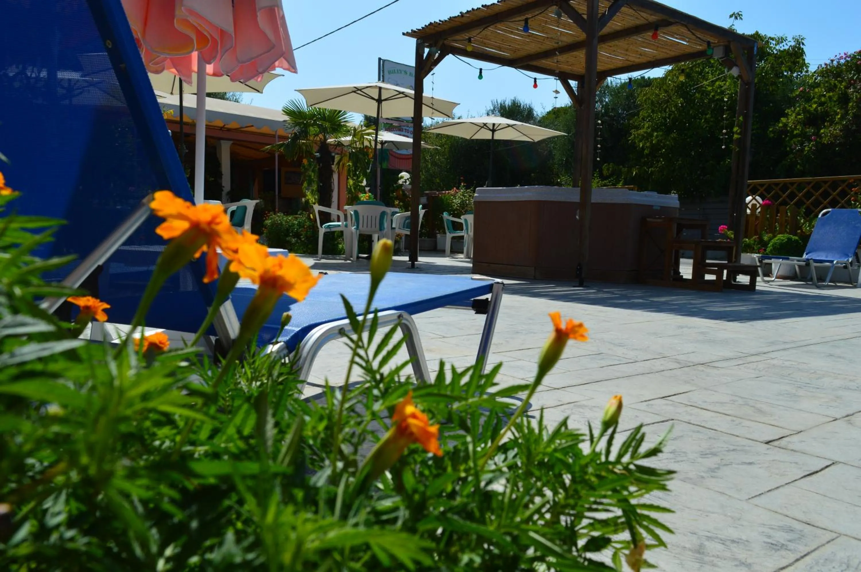 Garden in Billy's Rooms