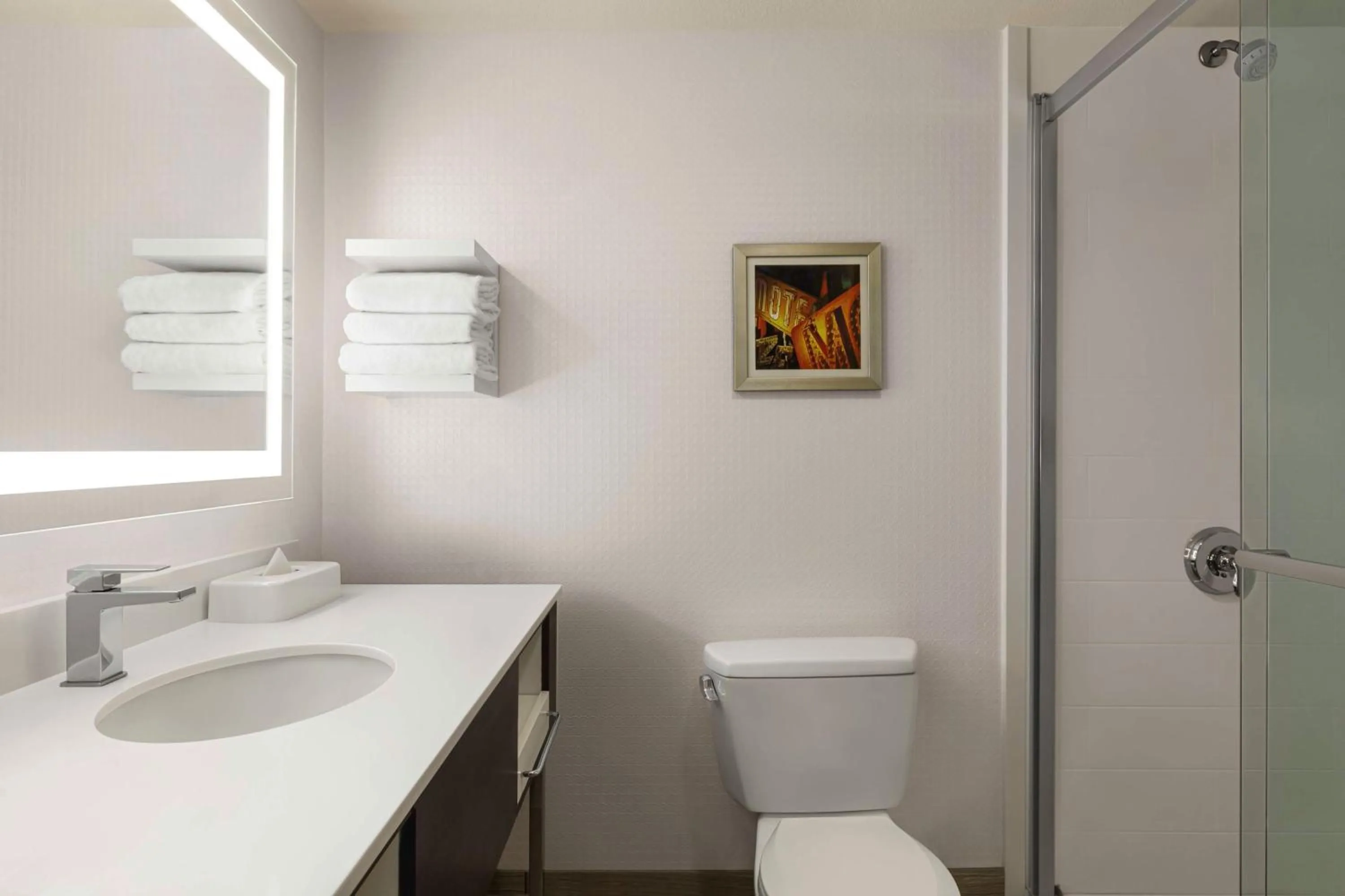 Bathroom in Hampton Inn Tropicana