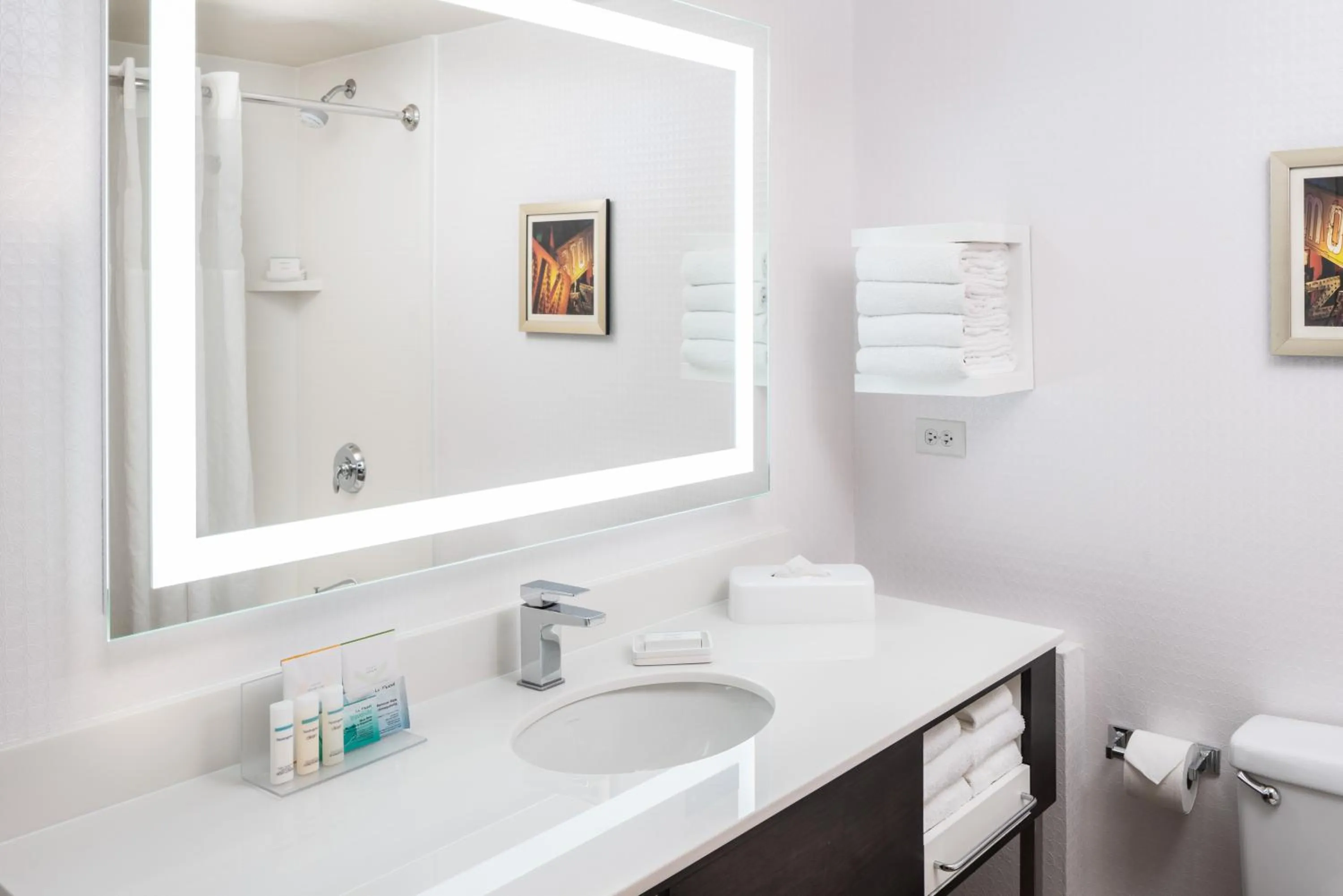 Bathroom in Hampton Inn Tropicana