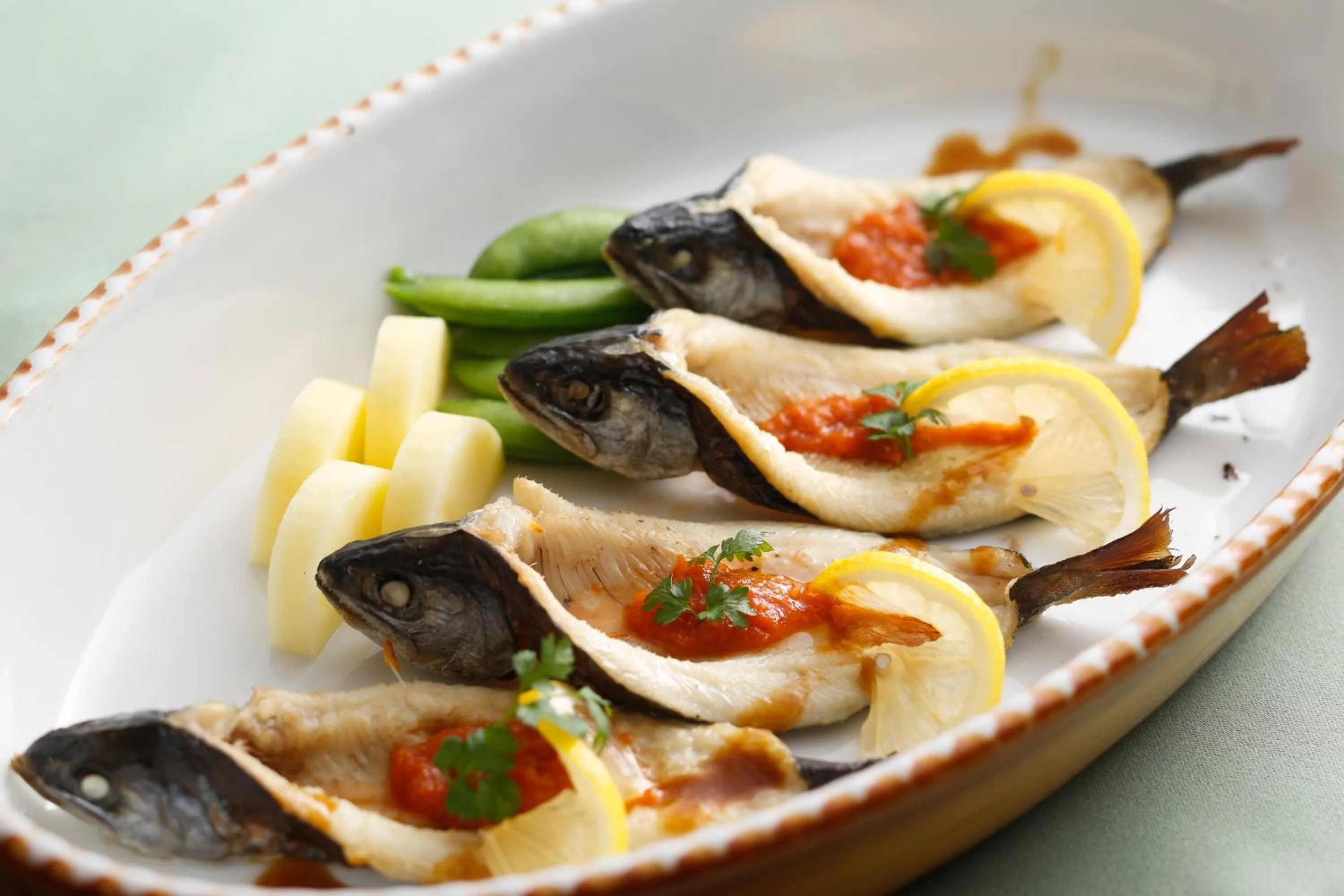 The Shiroyama Terrace Tsuyama Villa