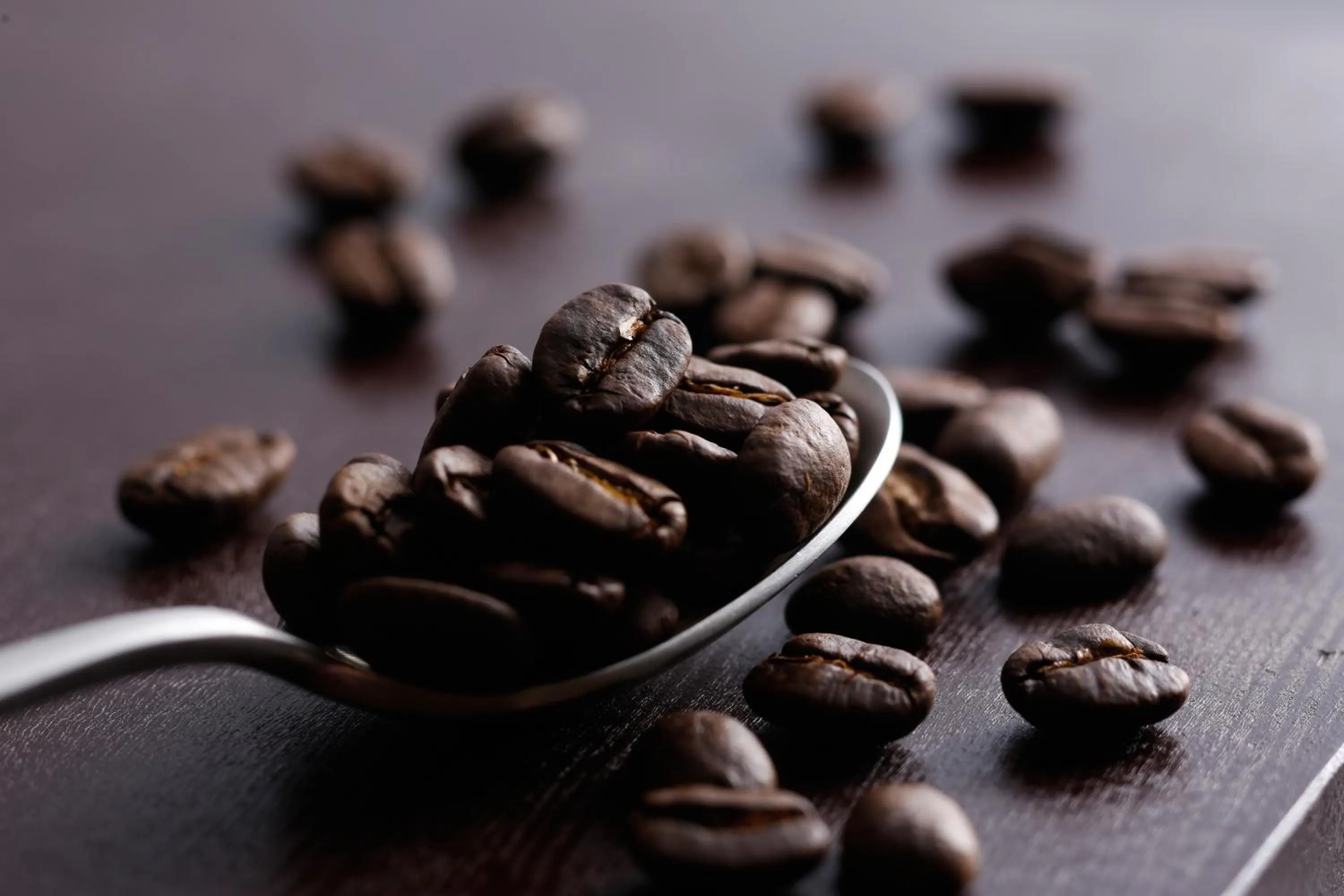 The Shiroyama Terrace Tsuyama Villa