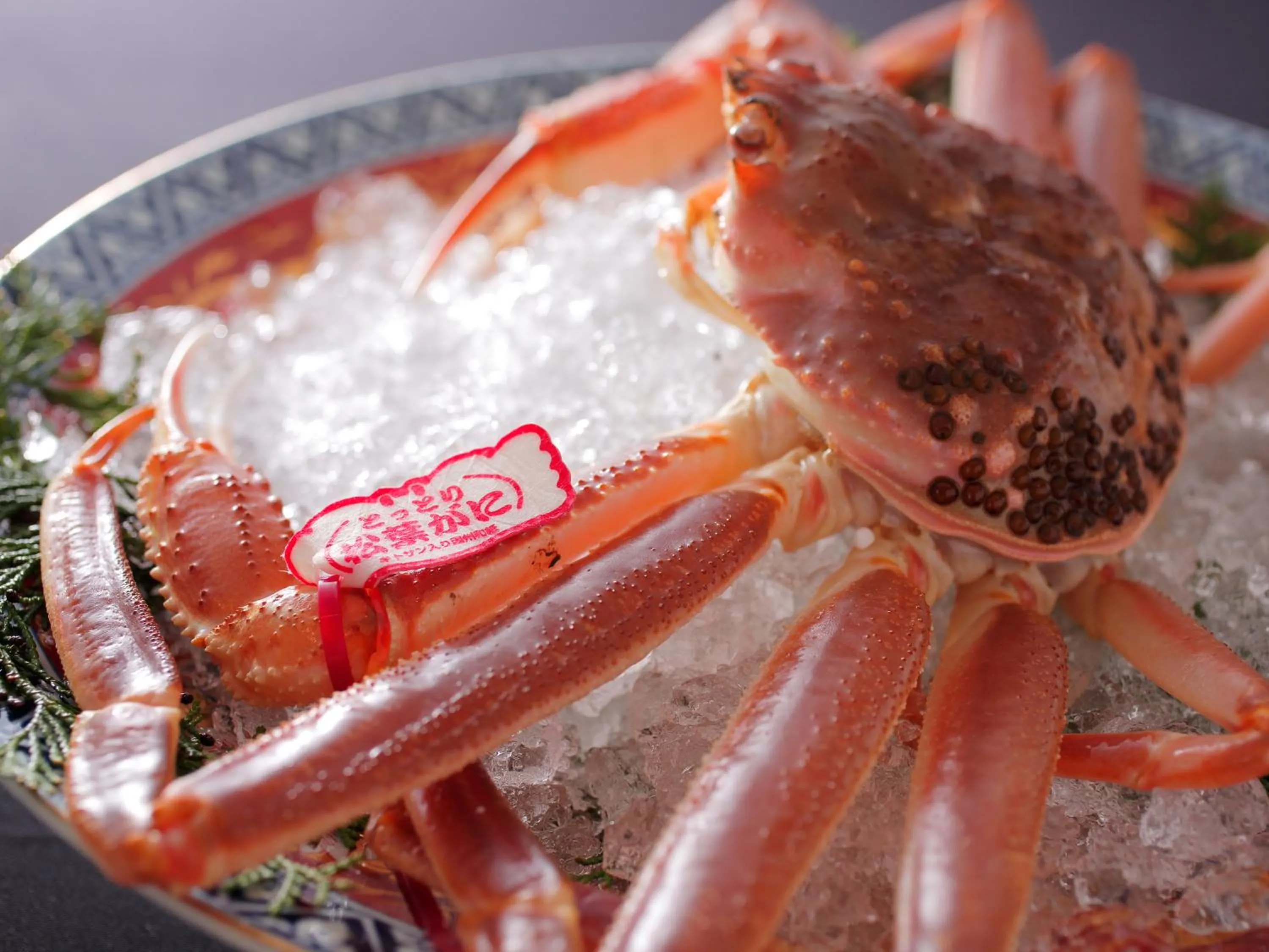 Food in The Shiroyama Terrace Tsuyama Villa