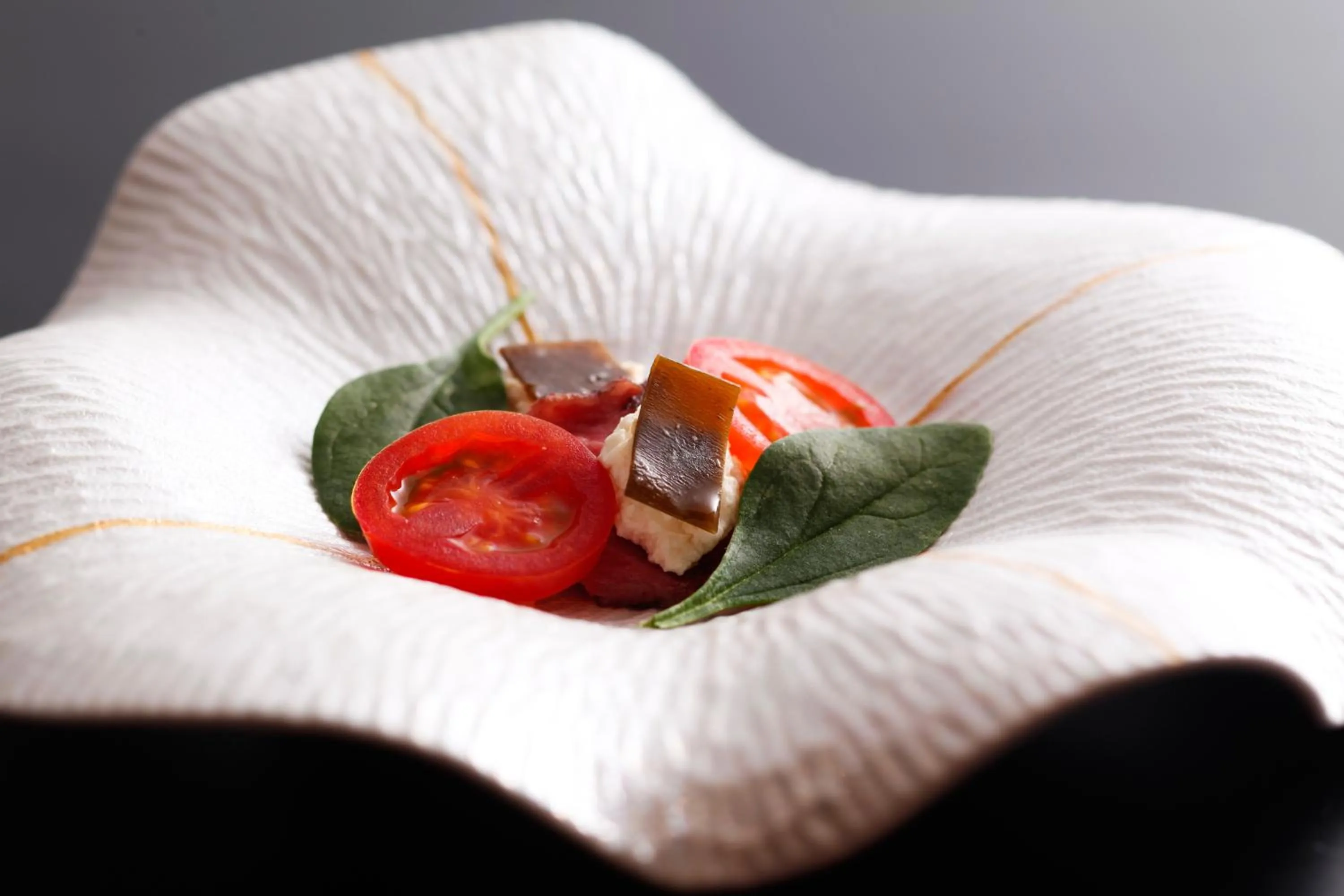 The Shiroyama Terrace Tsuyama Villa