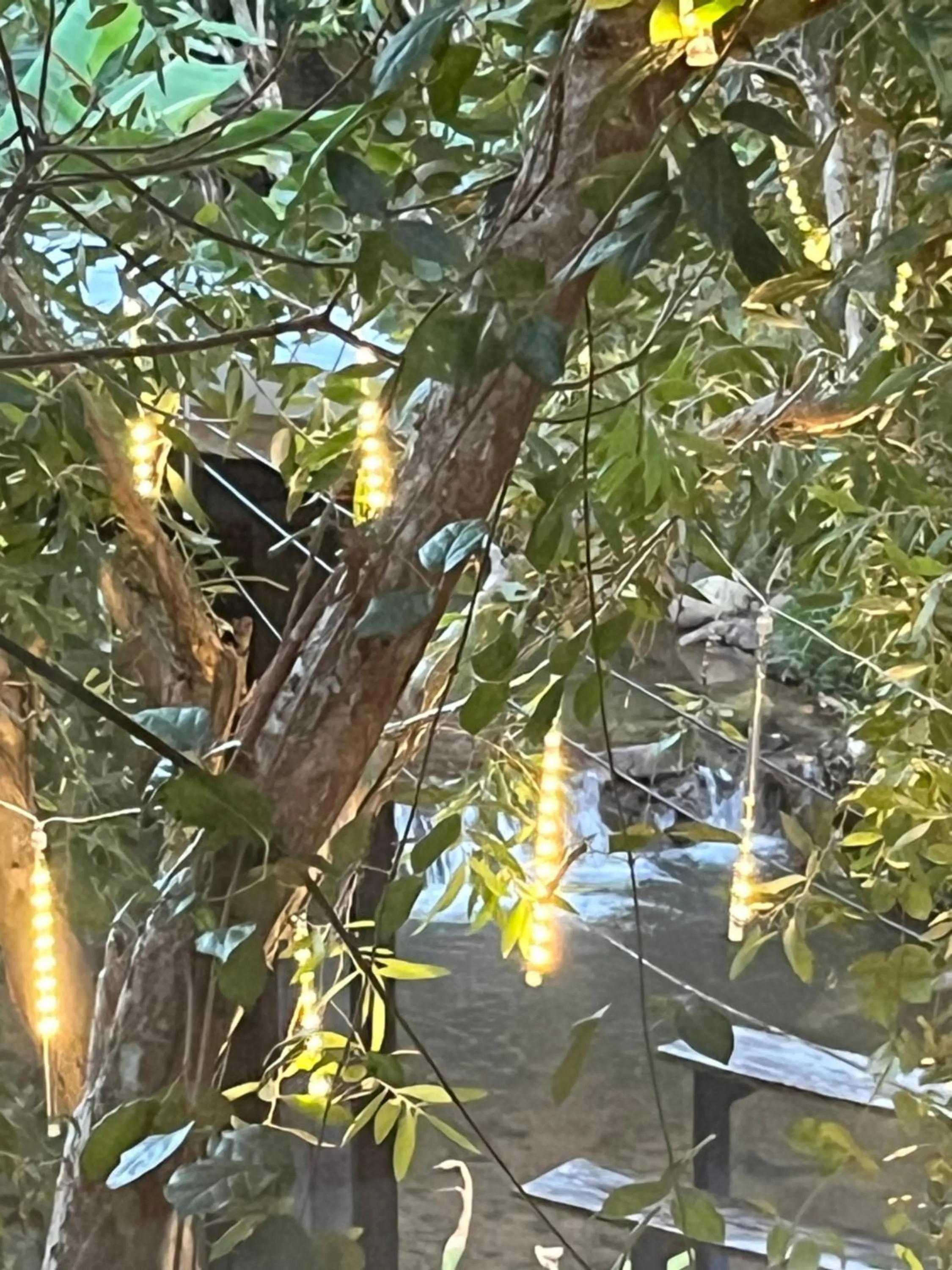 Natural landscape in Voraman Hut