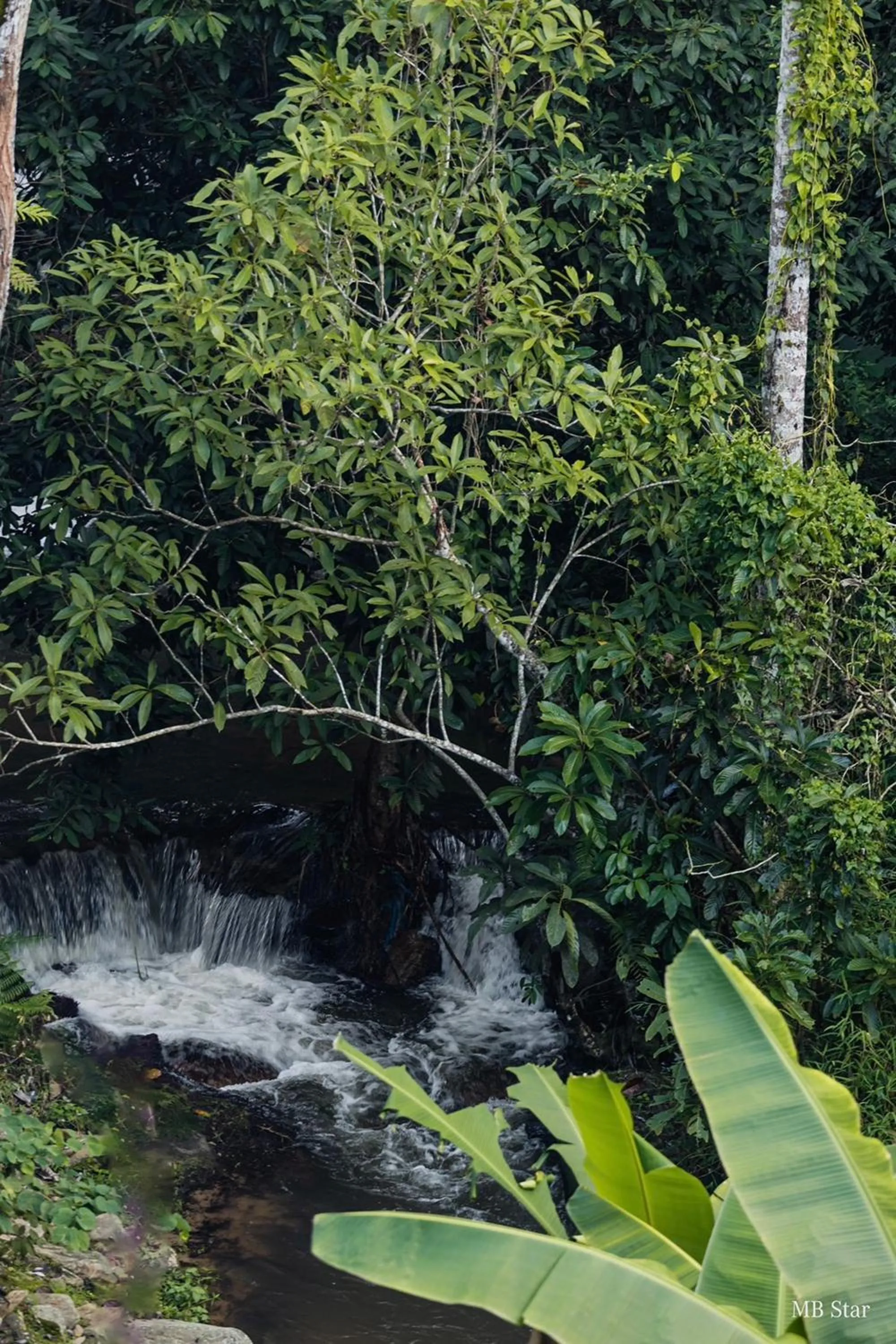 Lake view in Voraman Hut