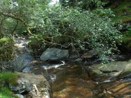 Activities in Luib Hotel