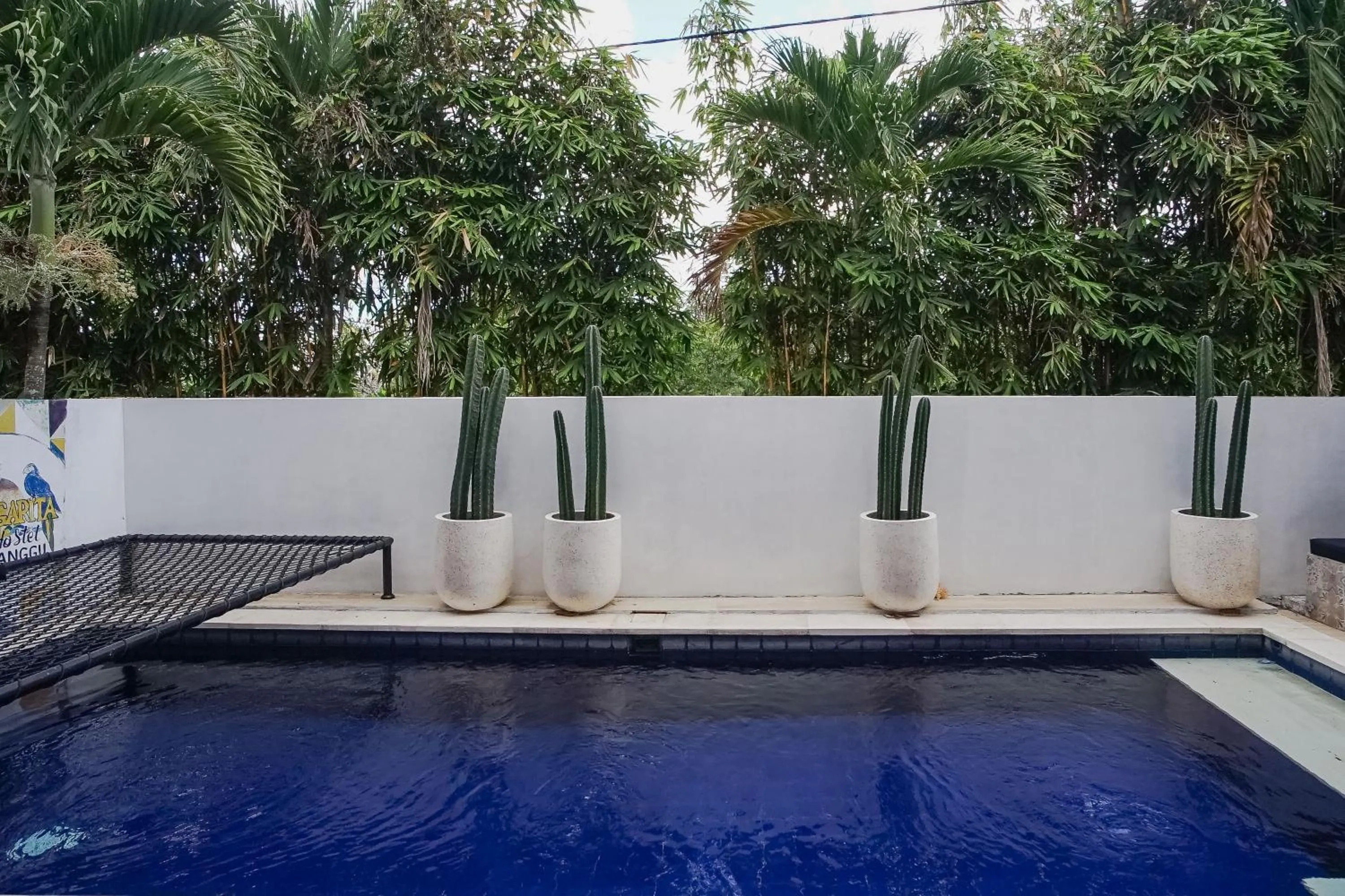 Swimming pool in Margarita Surf Hostel Canggu