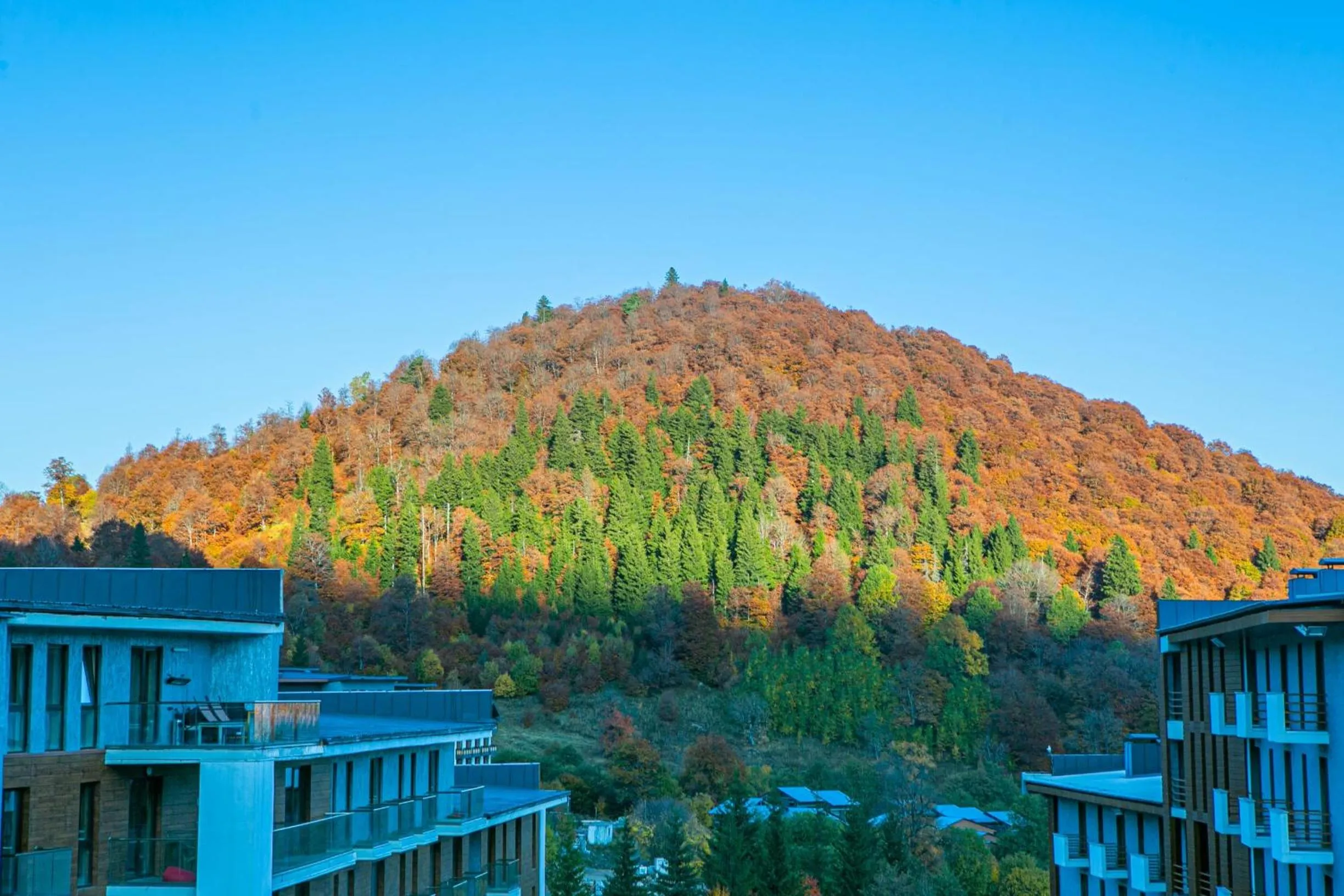 Neighbourhood in Orbi Palace Hotel Official