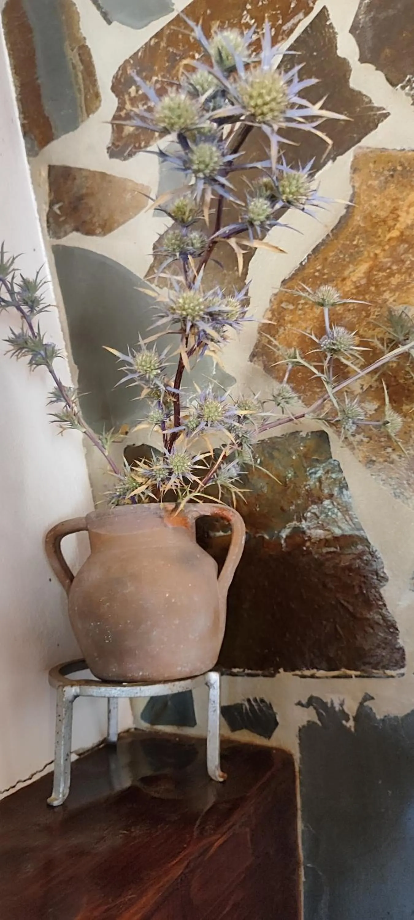 Nave Redonda do Cerro – Countryside & Nature