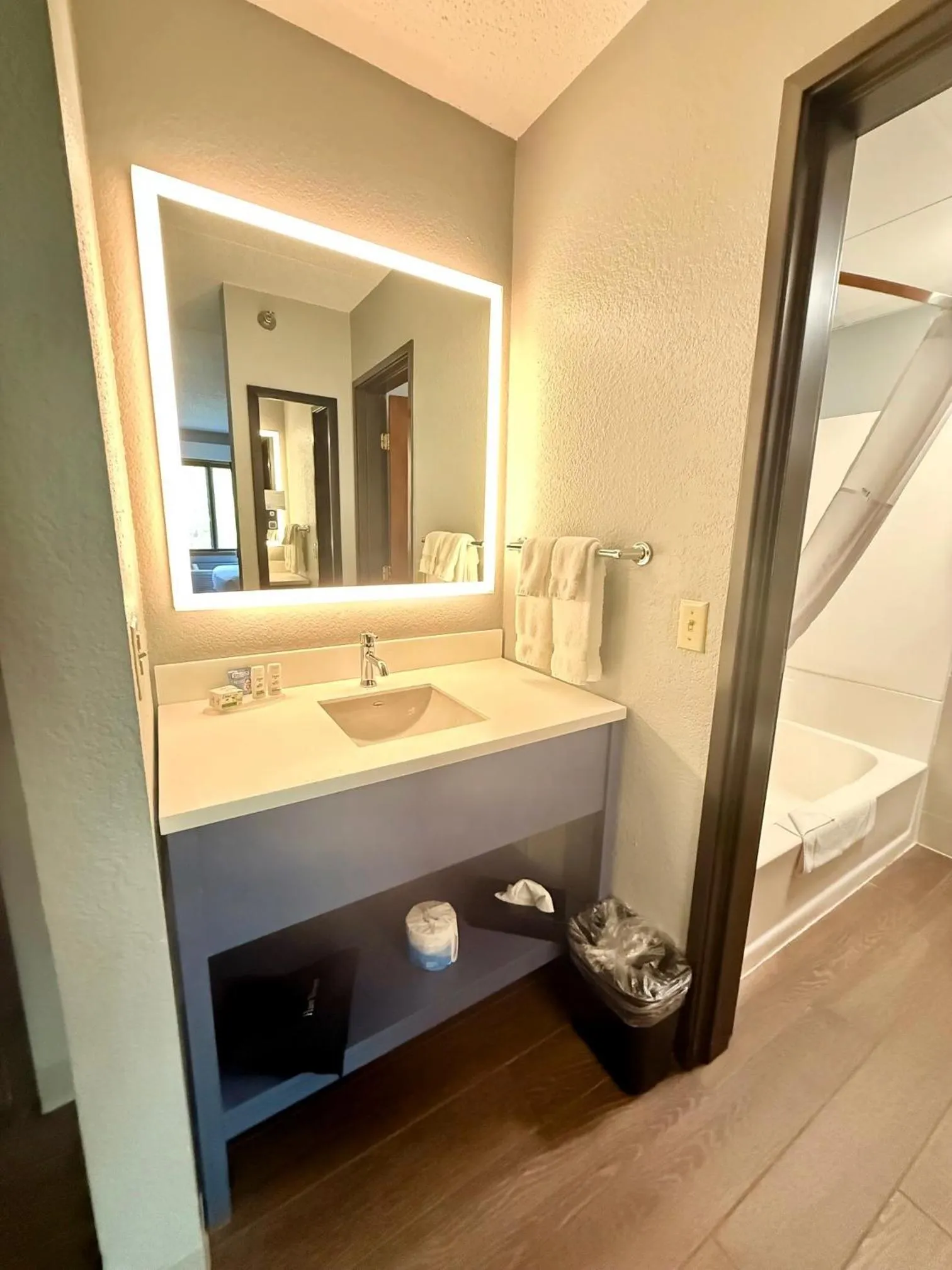 Bathroom in AmericInn by Wyndham Tofte Near Lake Superior