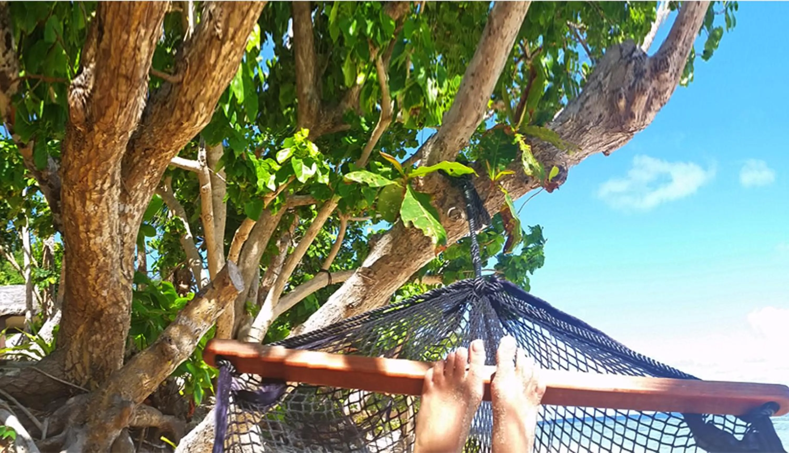 Area and facilities in Maqai Beach Eco Resort