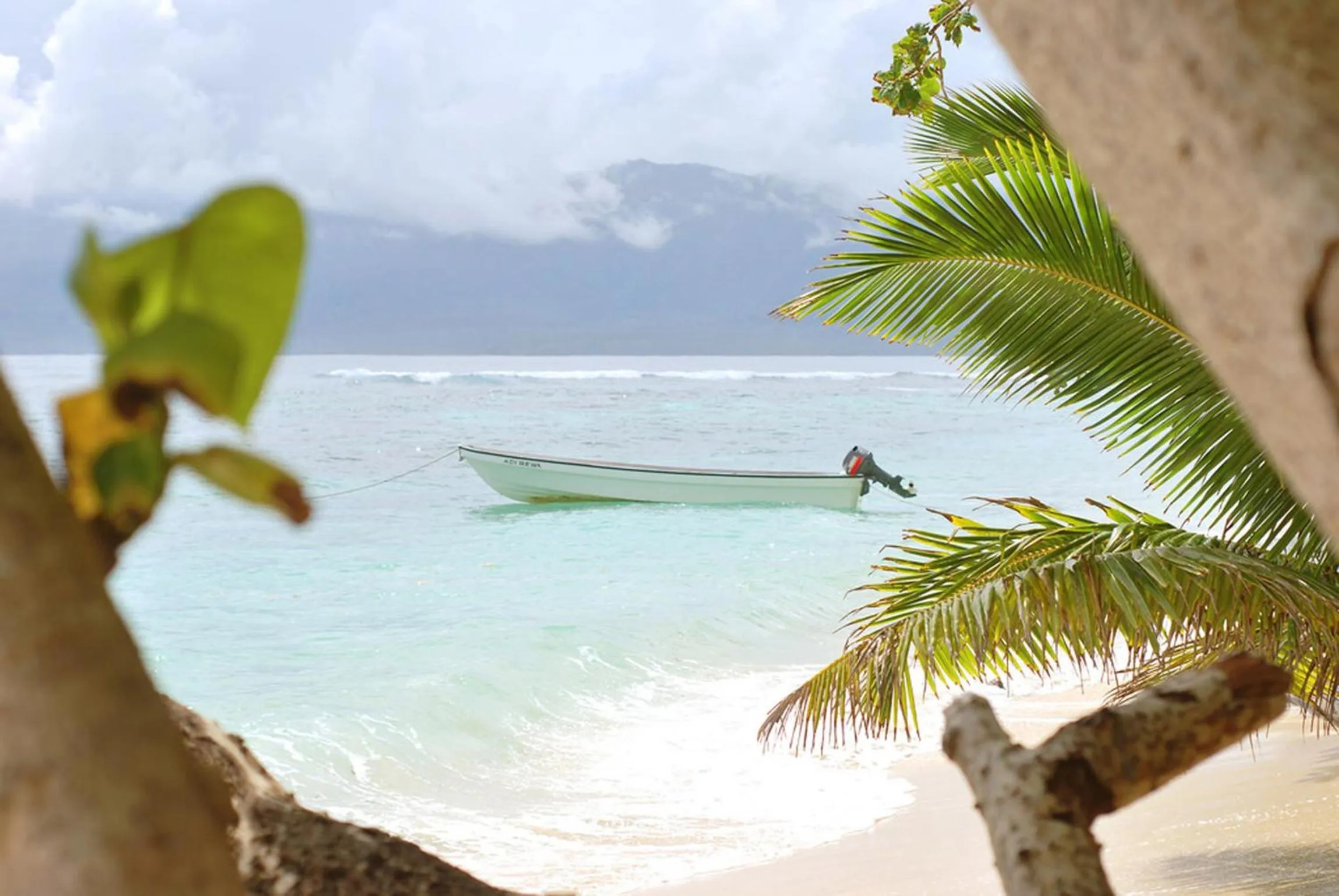 Beach in Maqai Beach Eco Resort