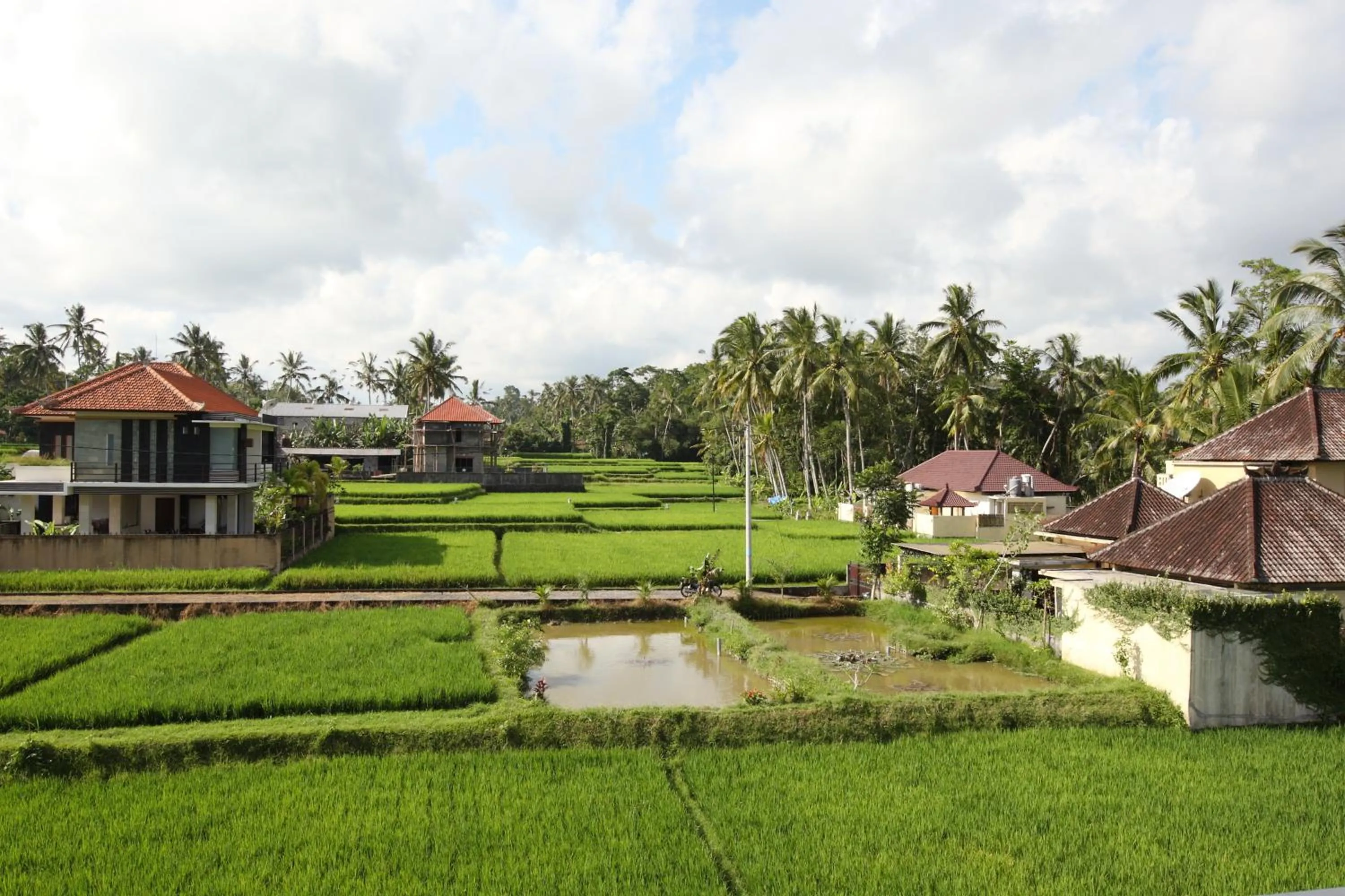 Area and facilities in Swarapadi Villa