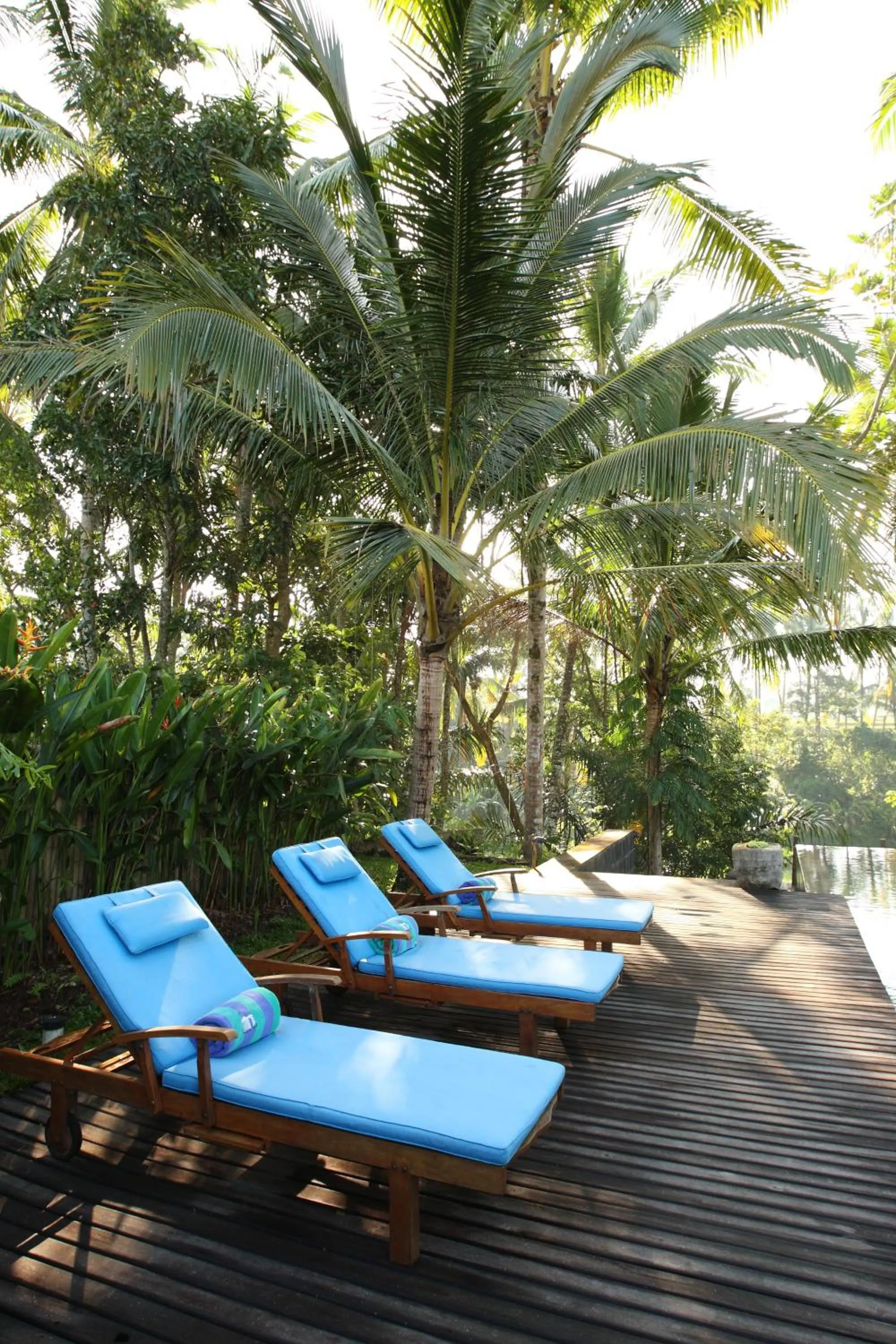 Swimming pool in Swarapadi Villa