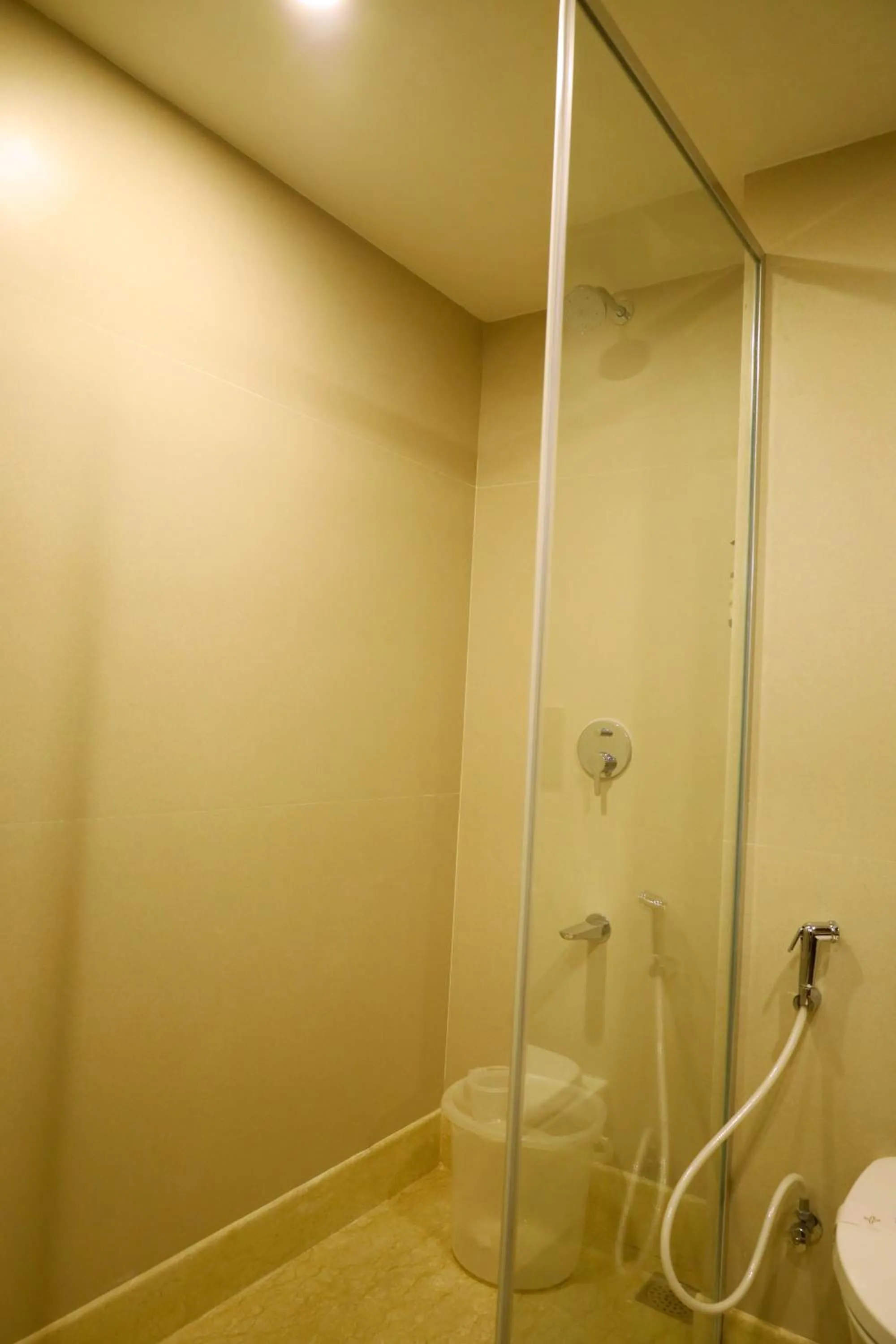 Shower in Hotel Surguru