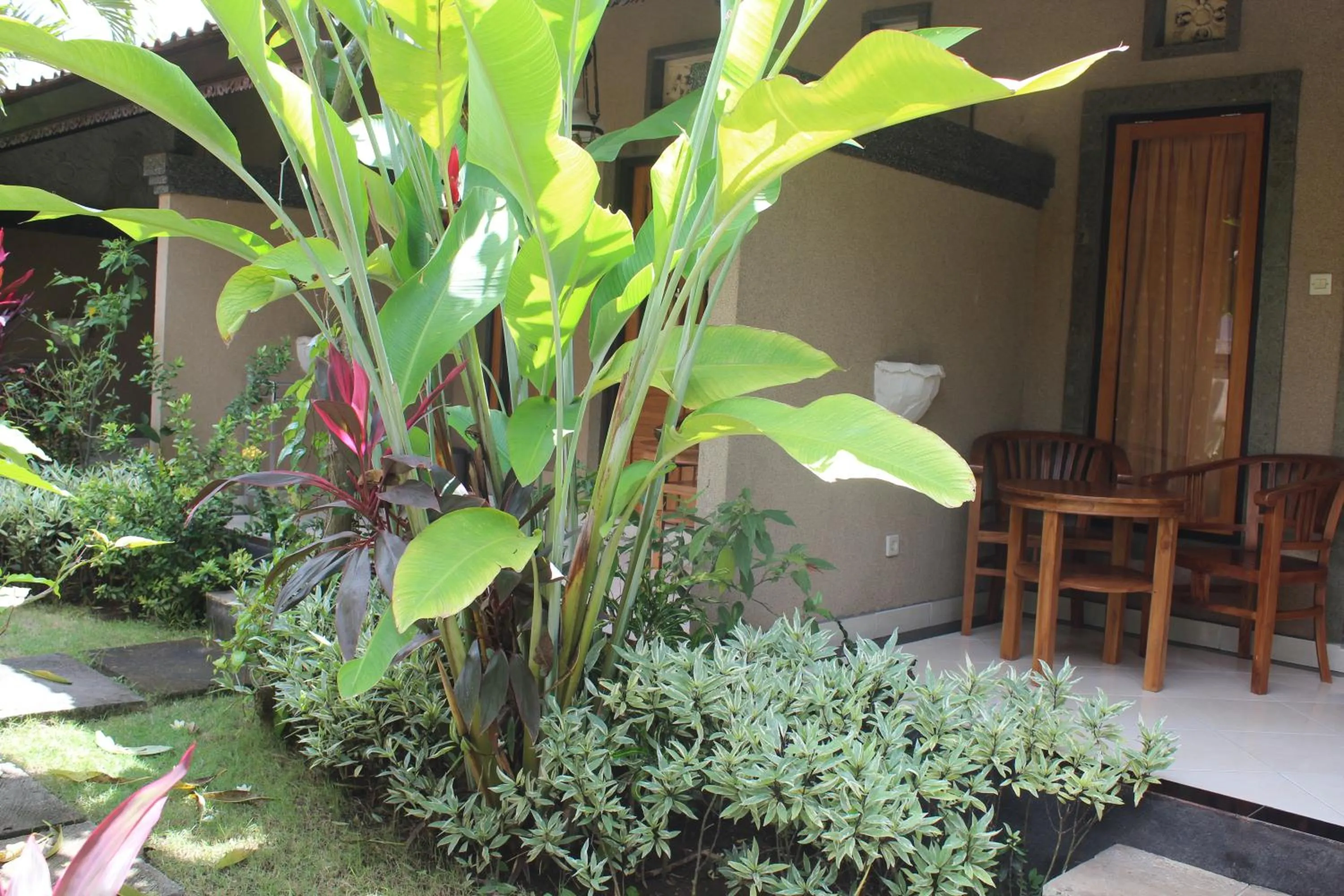 Balcony/Terrace in Trijaya Guest House Pemuteran